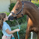 Belle & Bow Leather Pony Padded Halter - BelleandBow - Equiluxe Tack