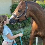 Belle & Bow Leather Pony Padded Halter - BelleandBow - Equiluxe Tack
