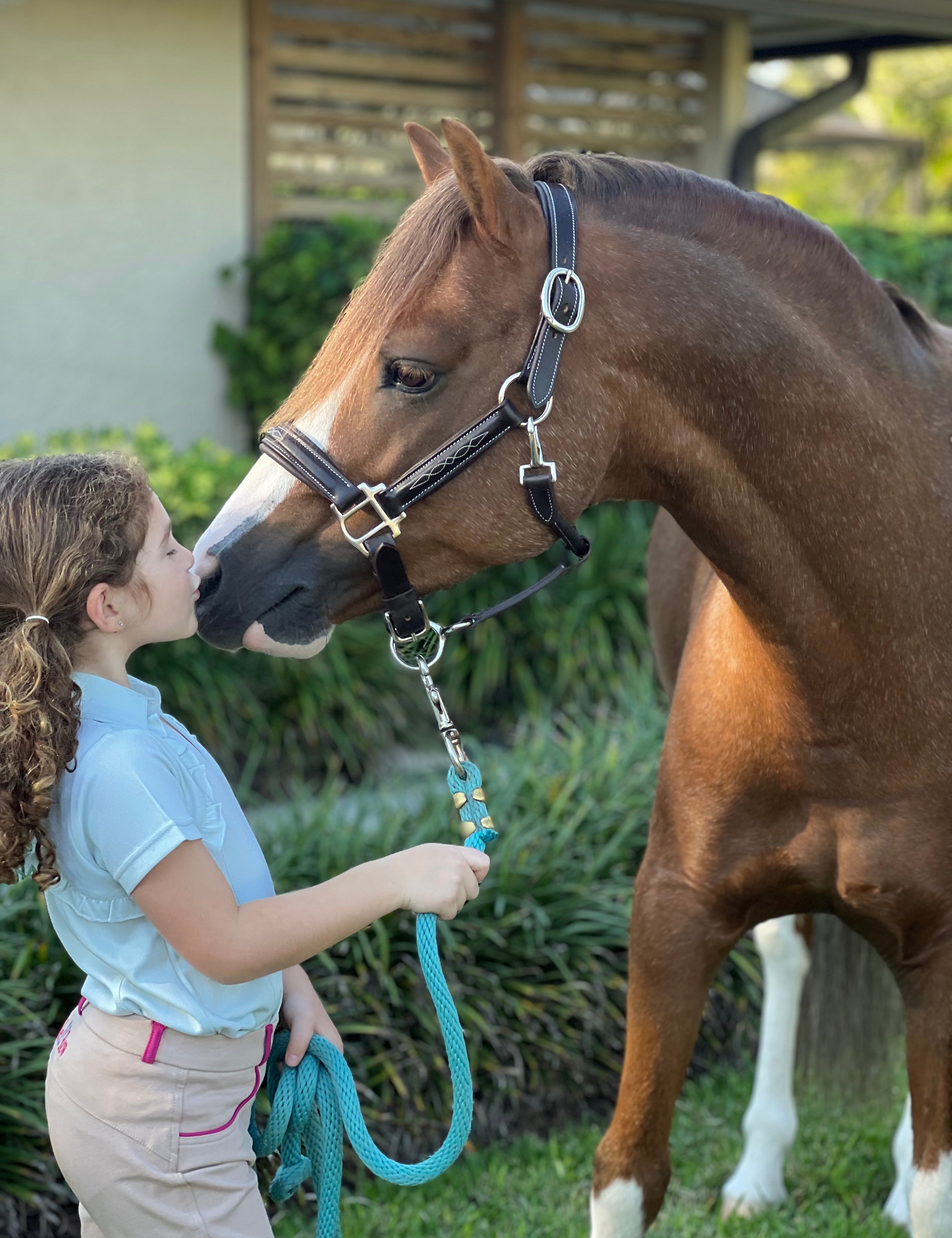 Belle & Bow Leather Pony Padded Halter - BelleandBow - Equiluxe Tack