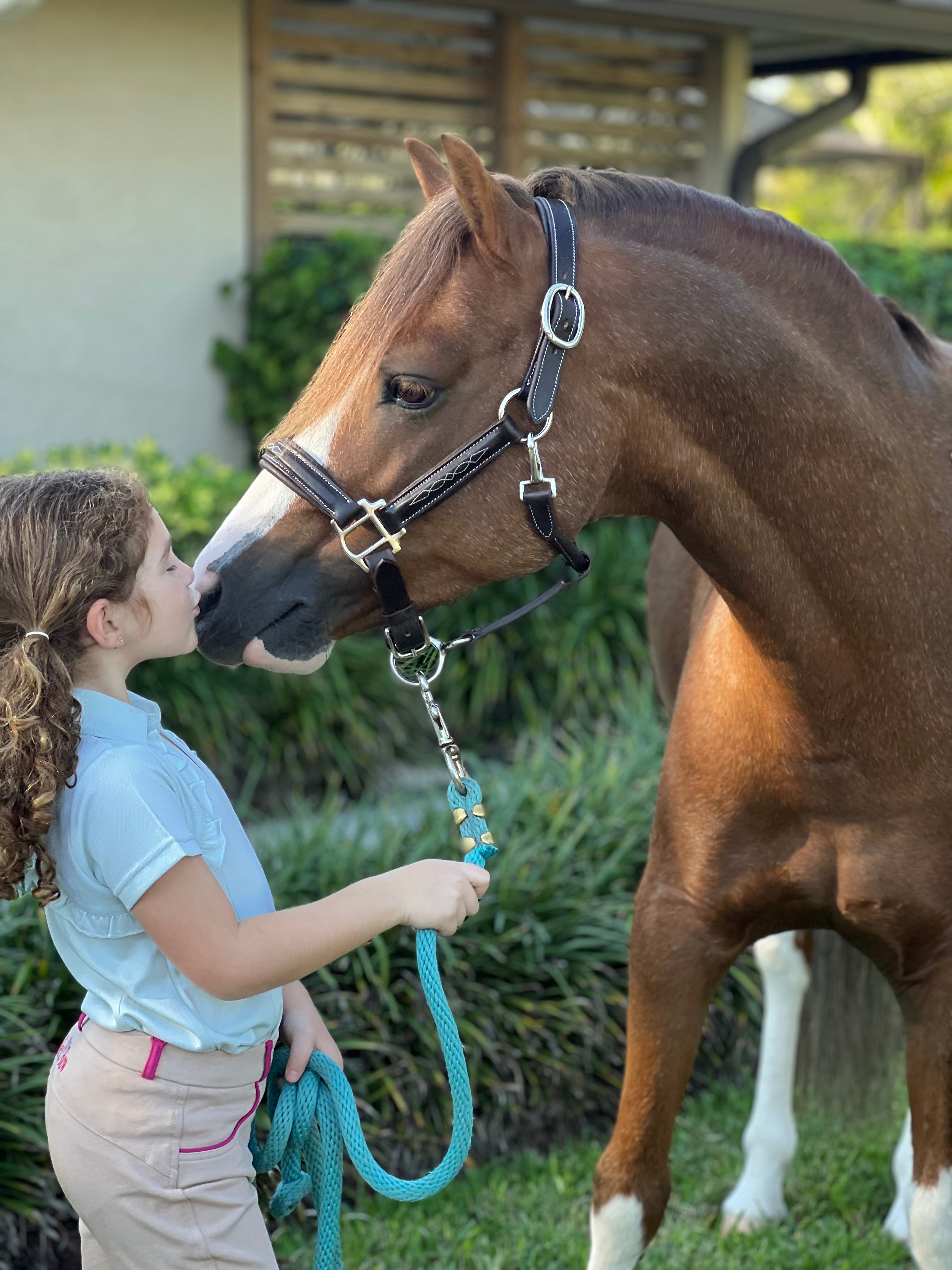 Belle & Bow Leather Pony Padded Halter - BelleandBow - Equiluxe Tack