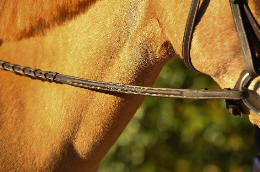 Belle & Bow Leather Pony Reins - BelleandBow - Equiluxe Tack