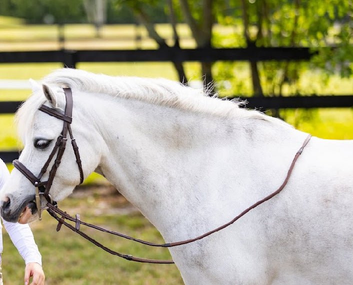 Belle & Bow Pony Rubber Reins - BelleandBow - Equiluxe Tack