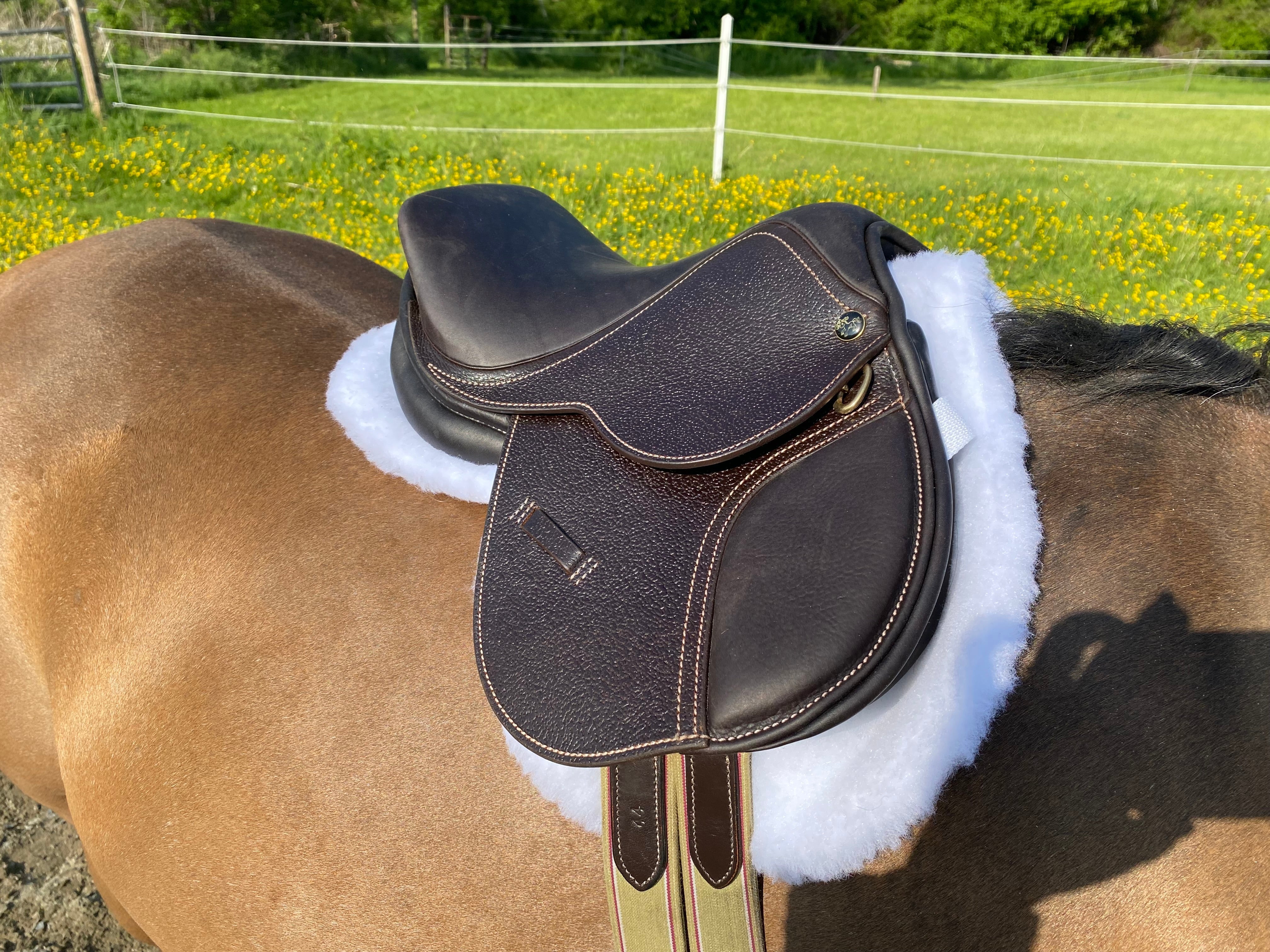 Belle & Bow Pony Saddle - BelleandBow - Equiluxe Tack