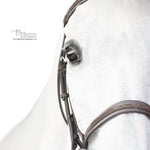 Belle & Bow Sugarbrook Pony Bridle Wide Noseband - BelleandBow - Equiluxe Tack
