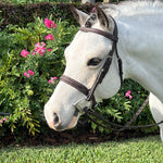 Belle & Bow Sugarbrook Pony Bridle Wide Noseband - BelleandBow - Equiluxe Tack