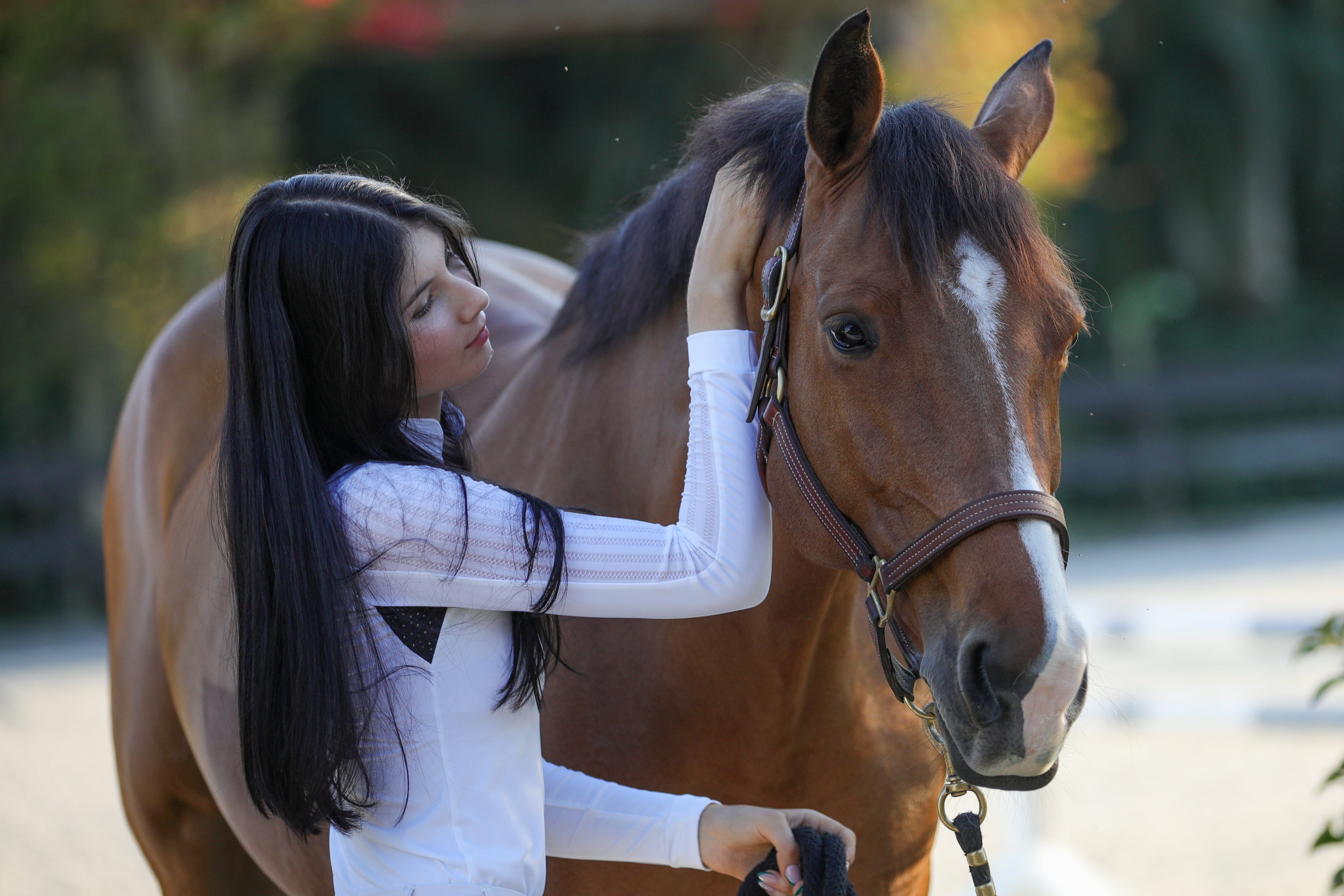 BellEq LOLLY Show Shirt - Long Sleeve - BellEq™ Equestrian Apparel - Equiluxe Tack