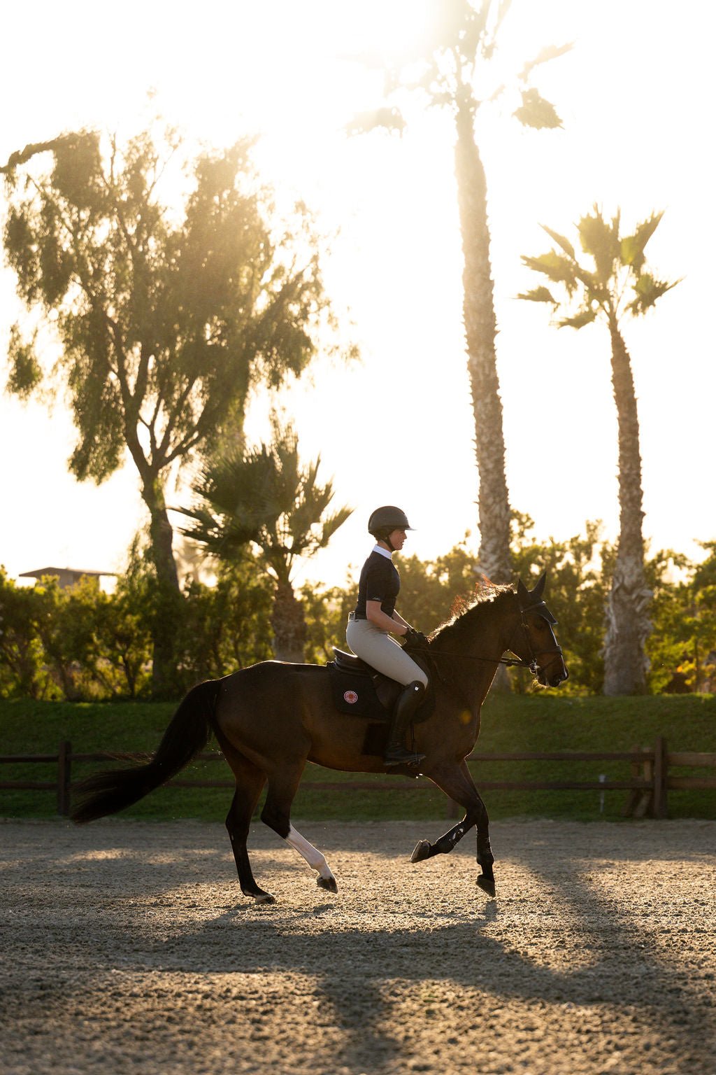 BellEq OLIVIA Show Shirt - BellEq™ Equestrian Apparel - Equiluxe Tack