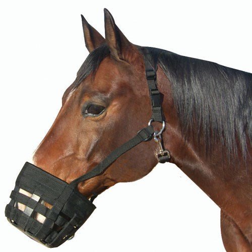 Best Friend Deluxe Grazing Muzzle - Equiluxe Tack - Equiluxe Tack