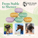 Bex Bar All Natural Shampoo Bar - 3 pack - Kensington - Equiluxe Tack