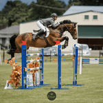 Brave Pants Performance Legacy Show Jacket Gunsmoke Grey - BRAVE PANTS USA - Equiluxe Tack