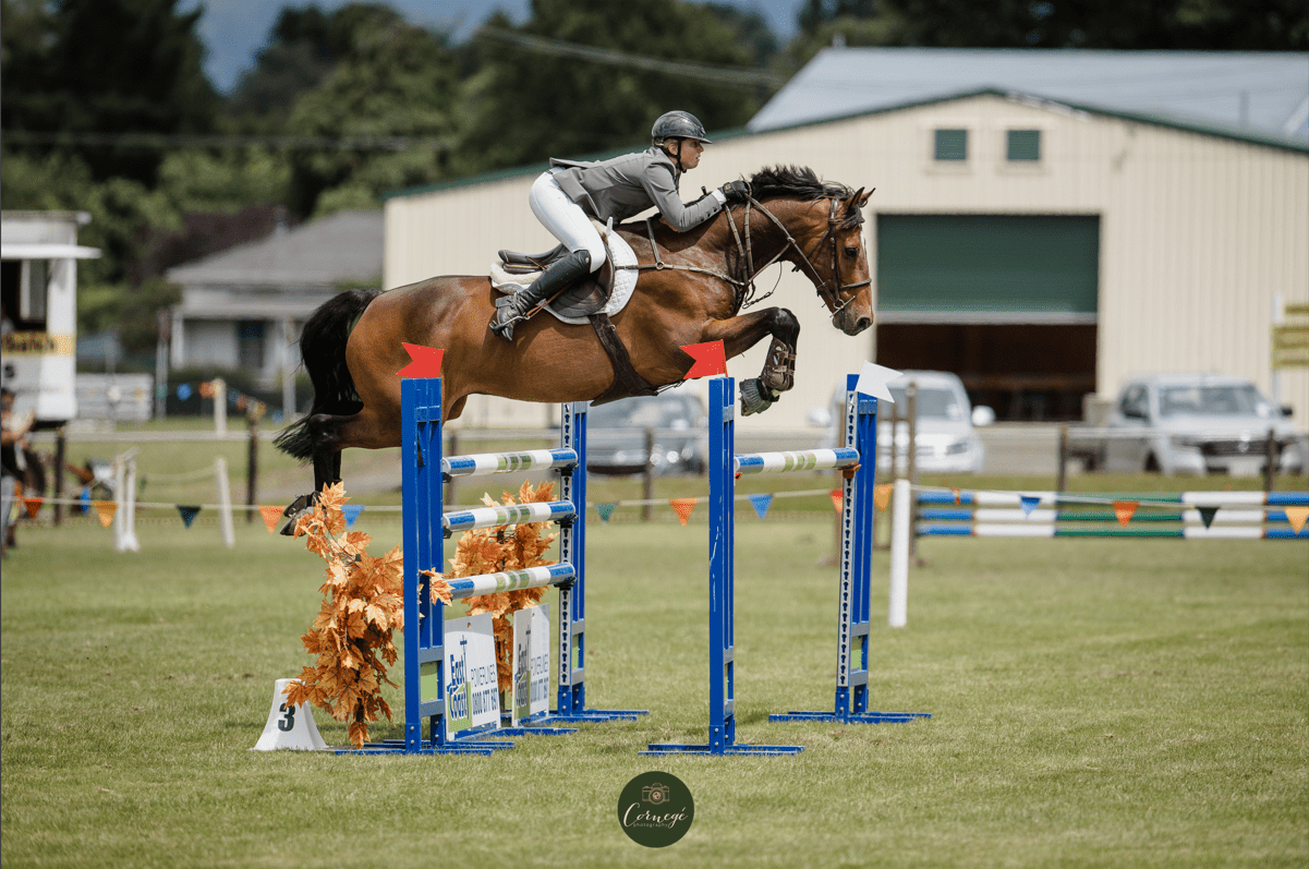 Brave Pants Performance Legacy Show Jacket Gunsmoke Grey - BRAVE PANTS USA - Equiluxe Tack