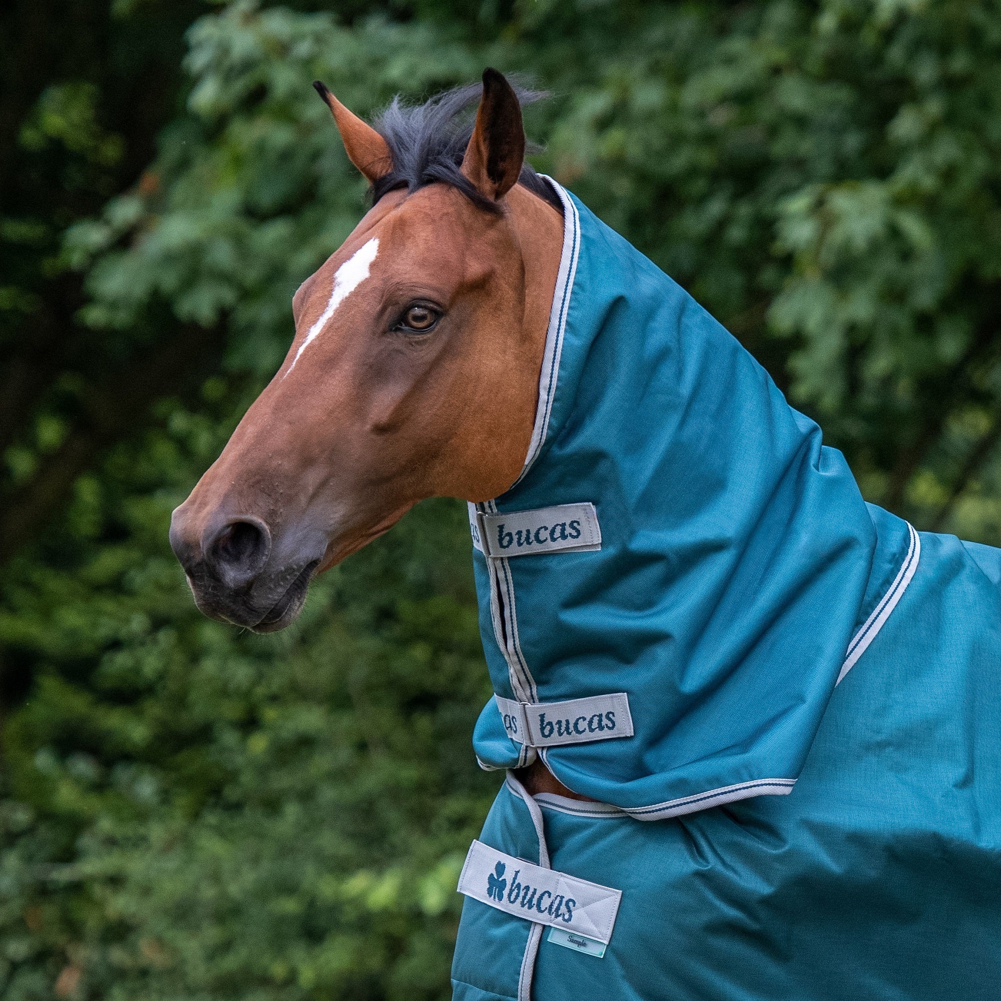 Bucas Atlantic Turnout Combi - Neck - Extra (300g) - Bucas - Equiluxe Tack