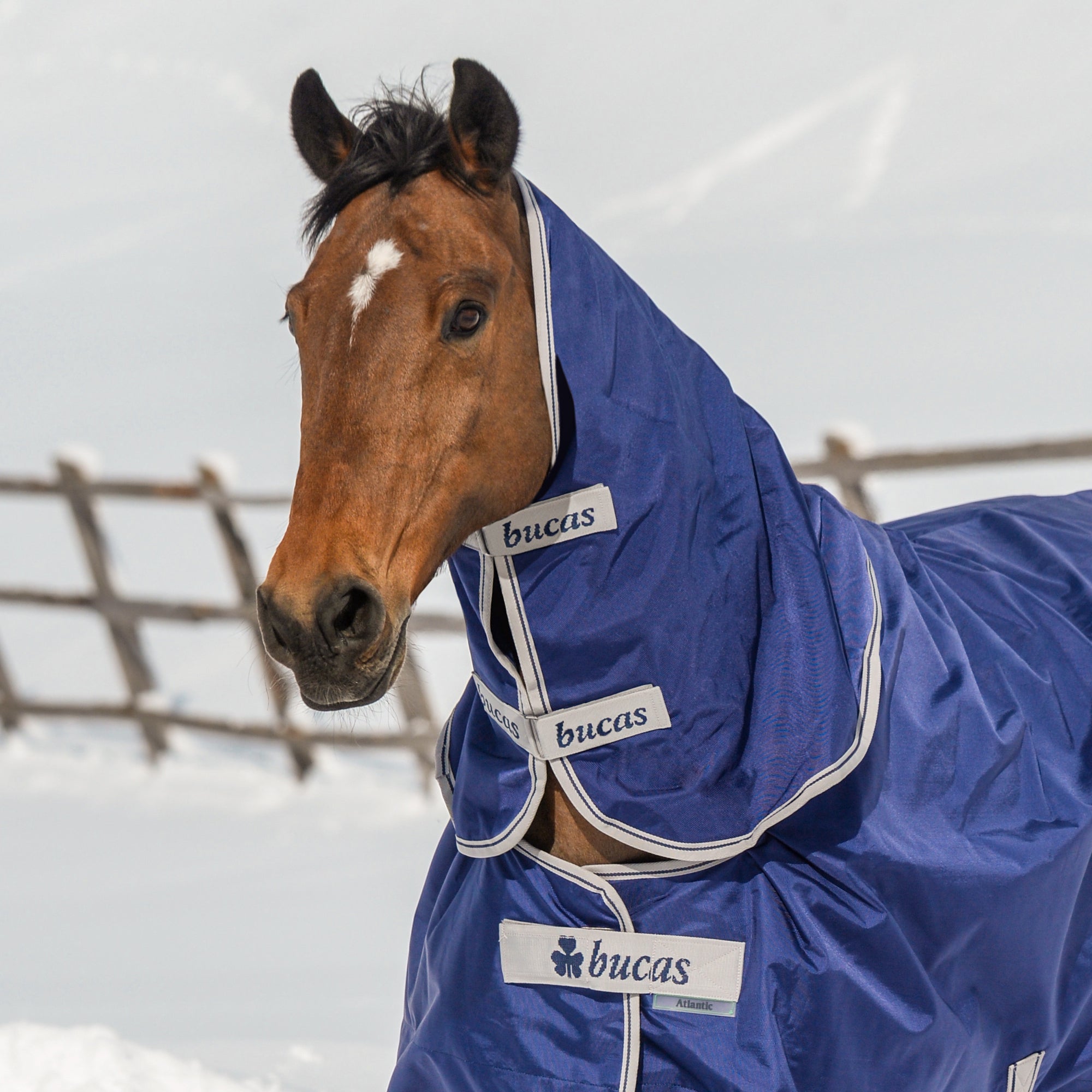 Bucas Atlantic Turnout Combi - Neck - Light (50g) - Bucas - Equiluxe Tack