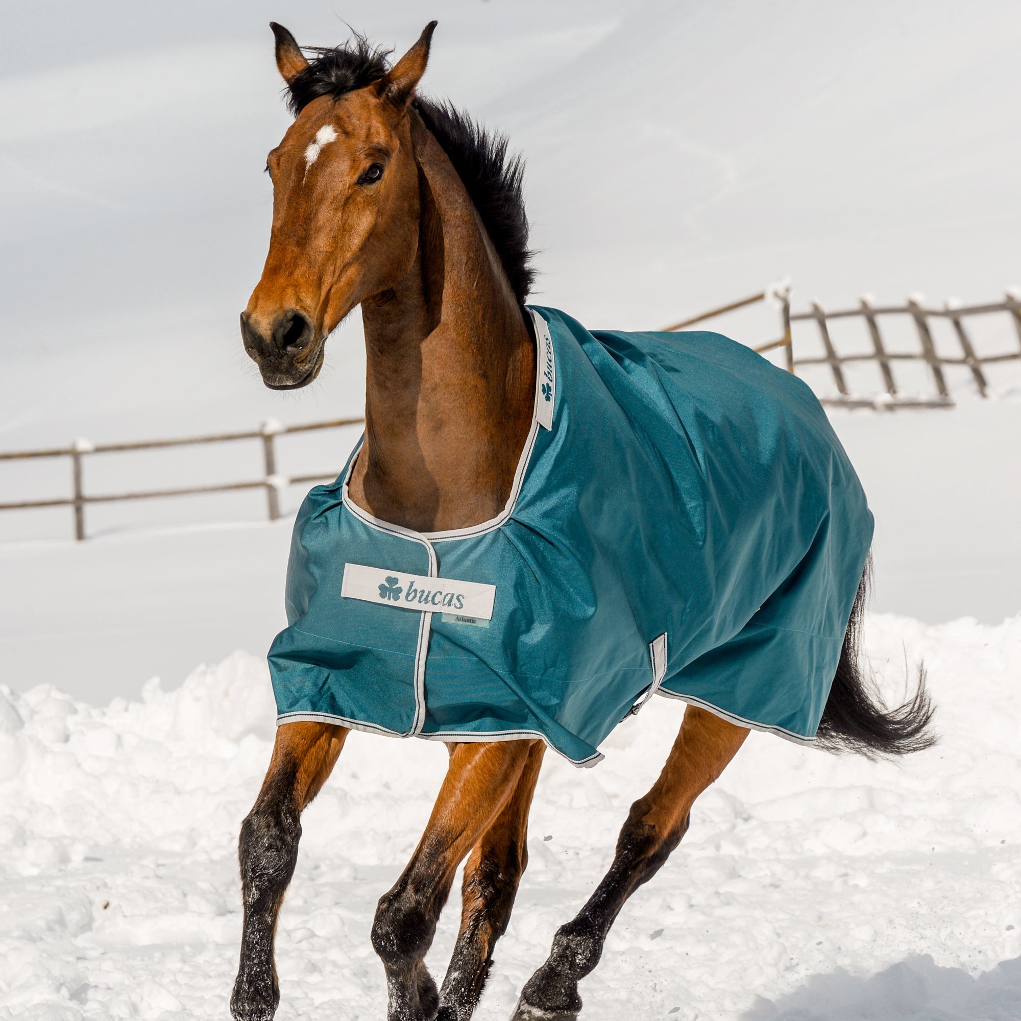 Bucas Atlantic Turnout - Extra (400g) - Bucas - Equiluxe Tack