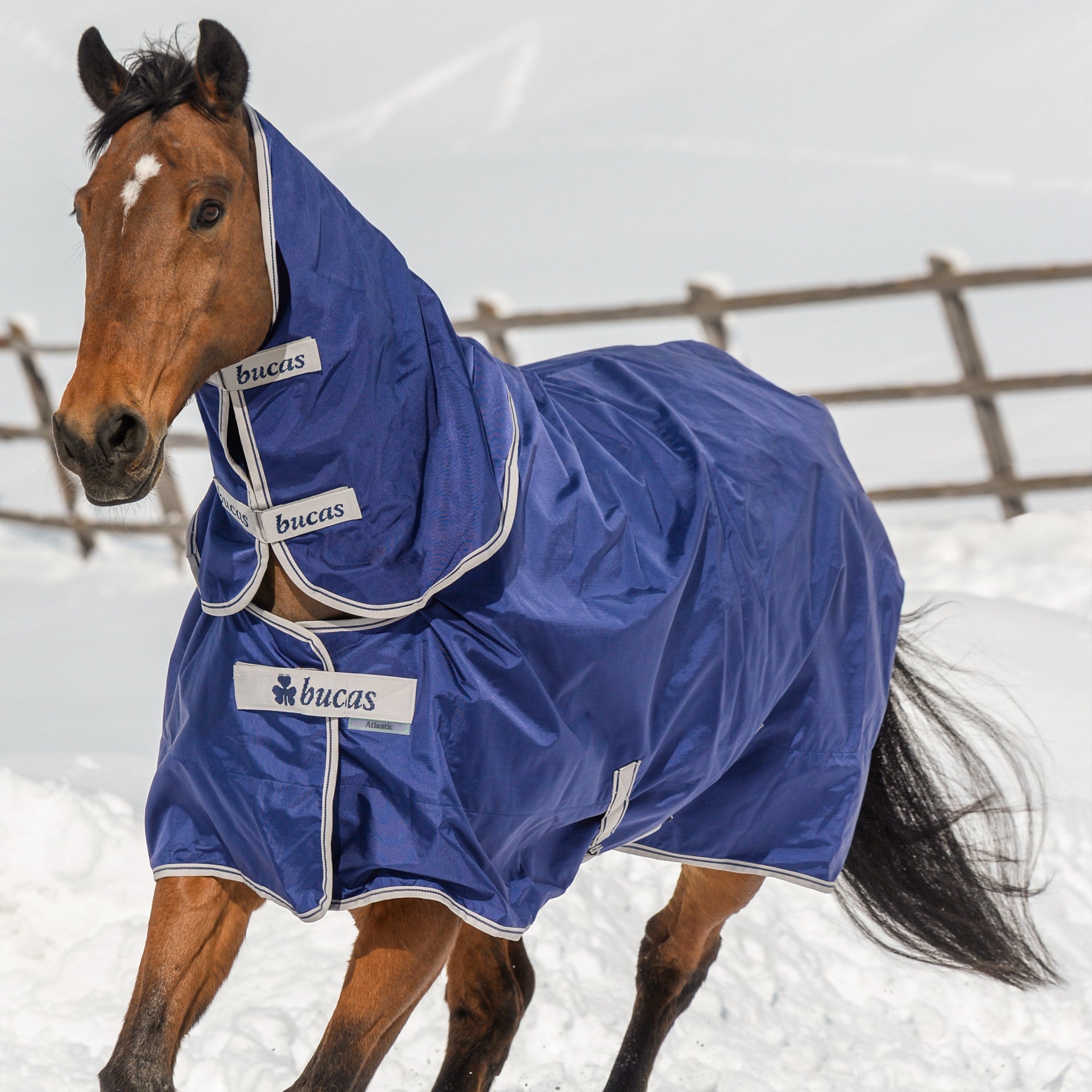 Bucas Atlantic Turnout - Extra (400g) - Bucas - Equiluxe Tack