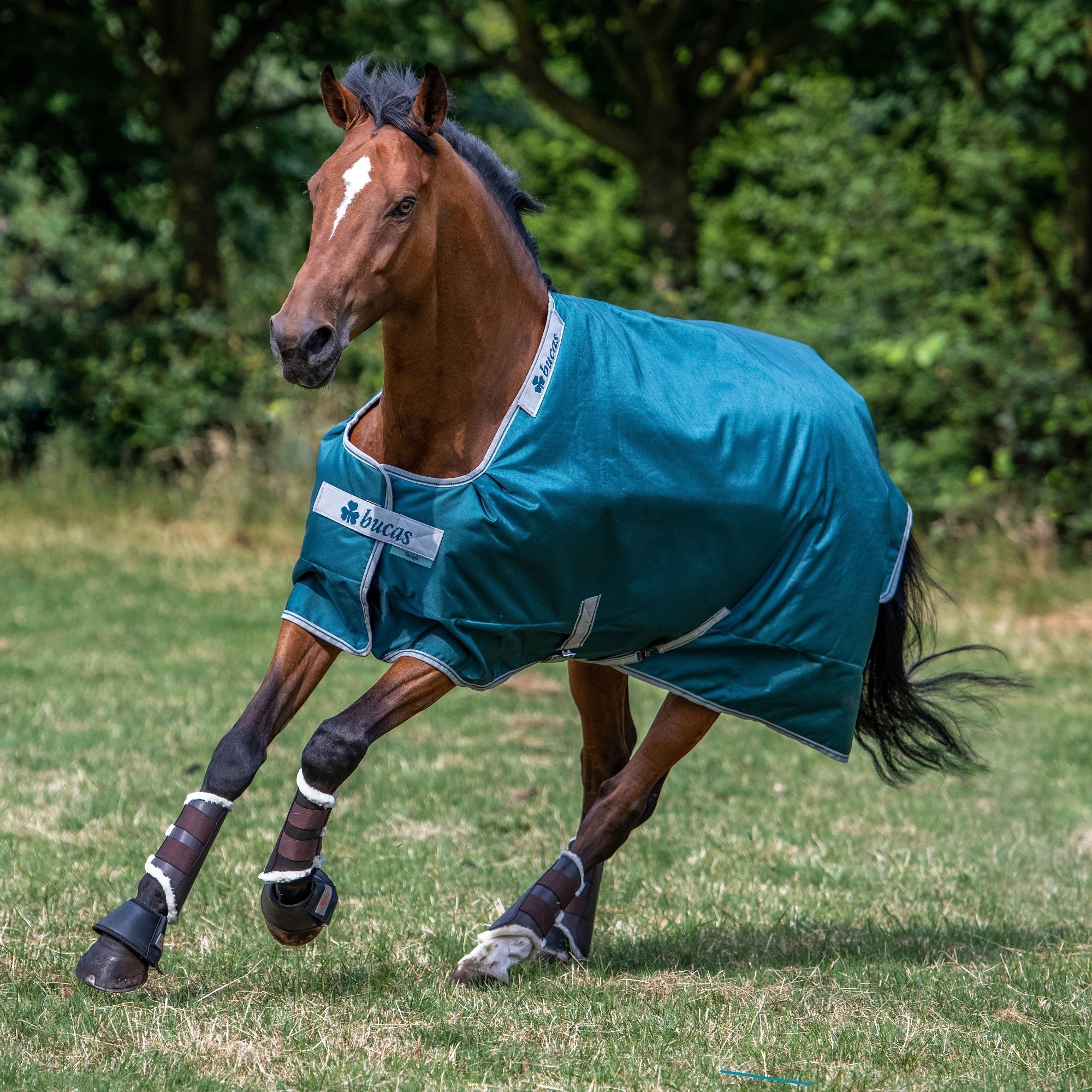 Bucas Atlantic Turnout - Light (50g) - Bucas - Equiluxe Tack
