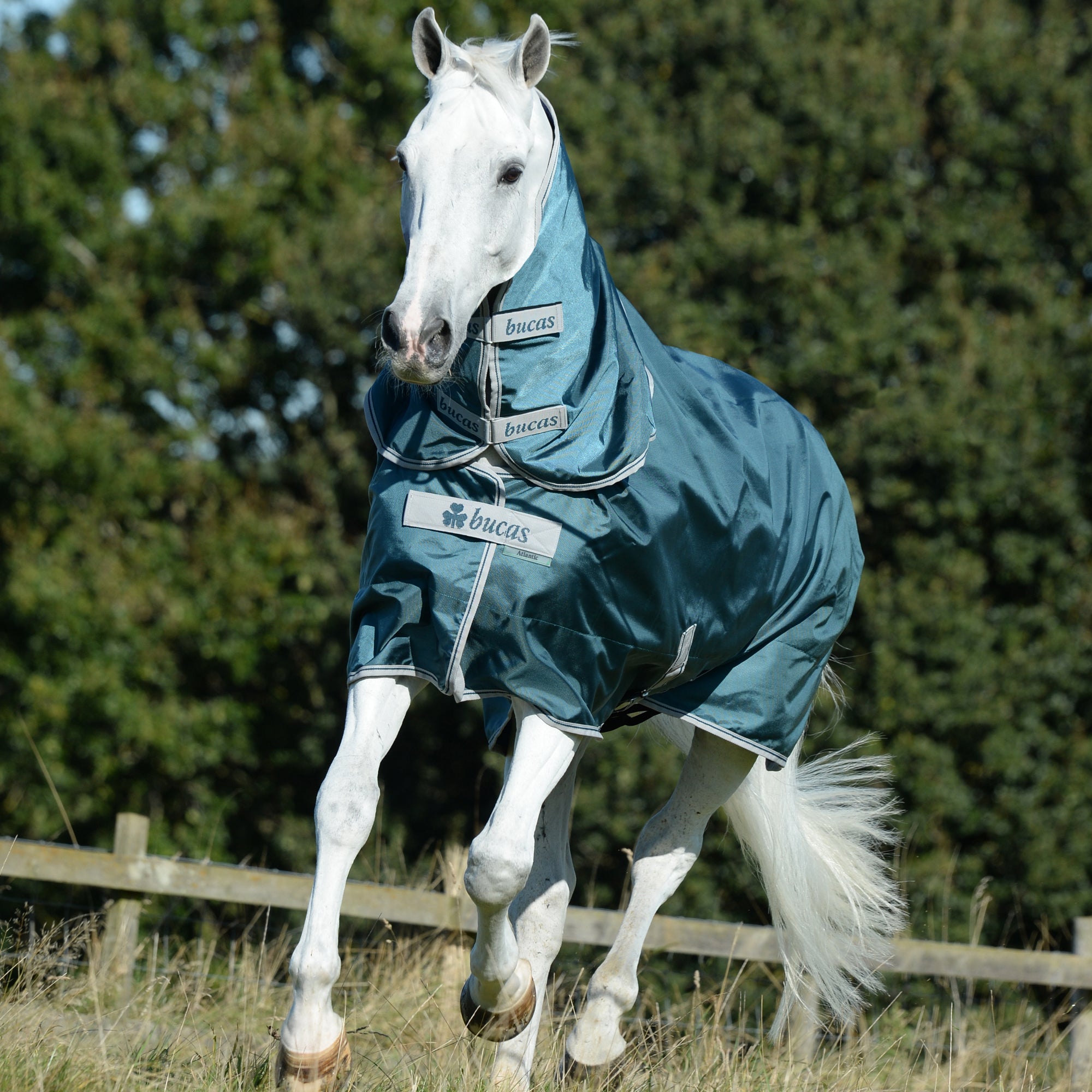 Bucas Atlantic Turnout - Medium (200g) - Bucas - Equiluxe Tack