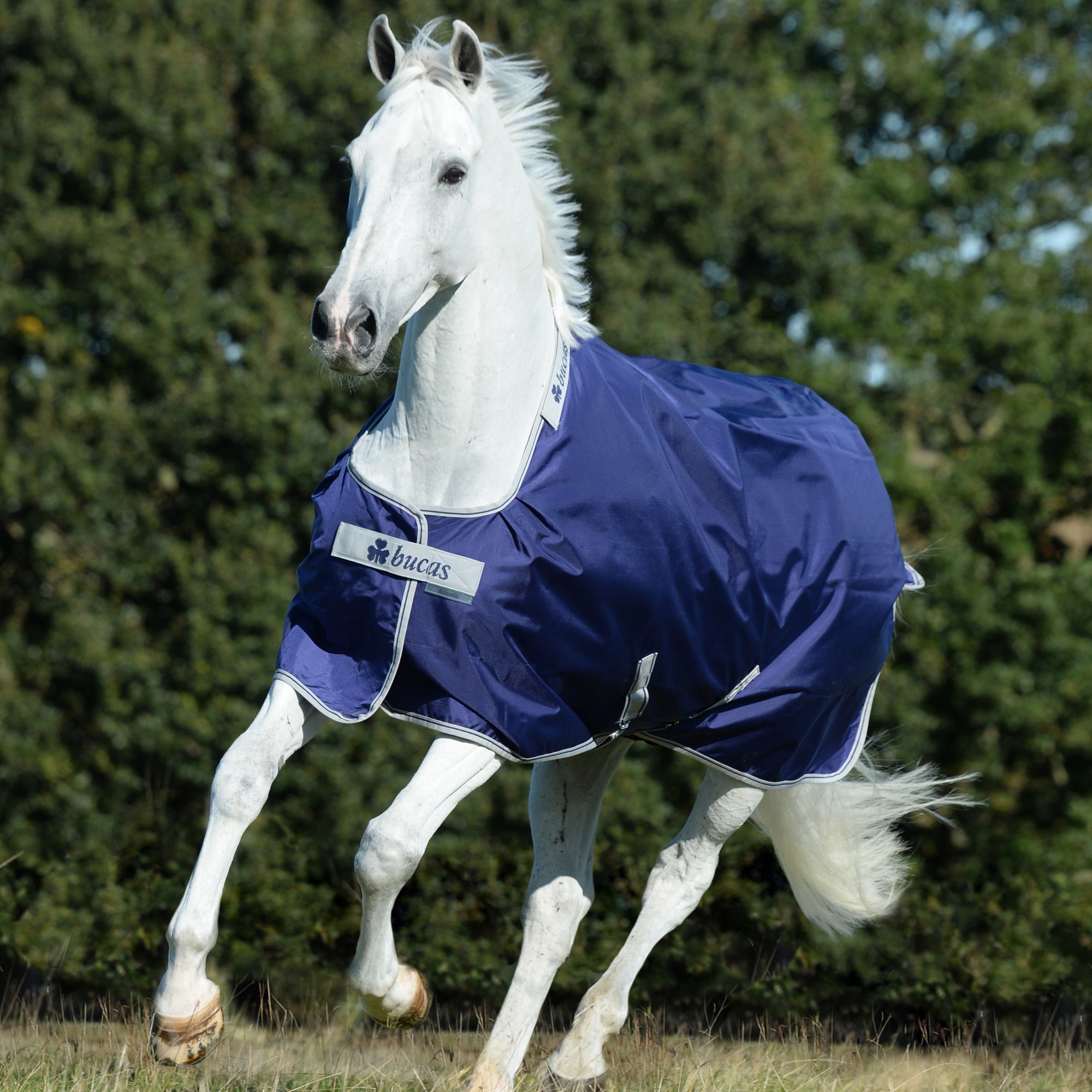 Bucas Atlantic Turnout - Medium (200g) - Bucas - Equiluxe Tack