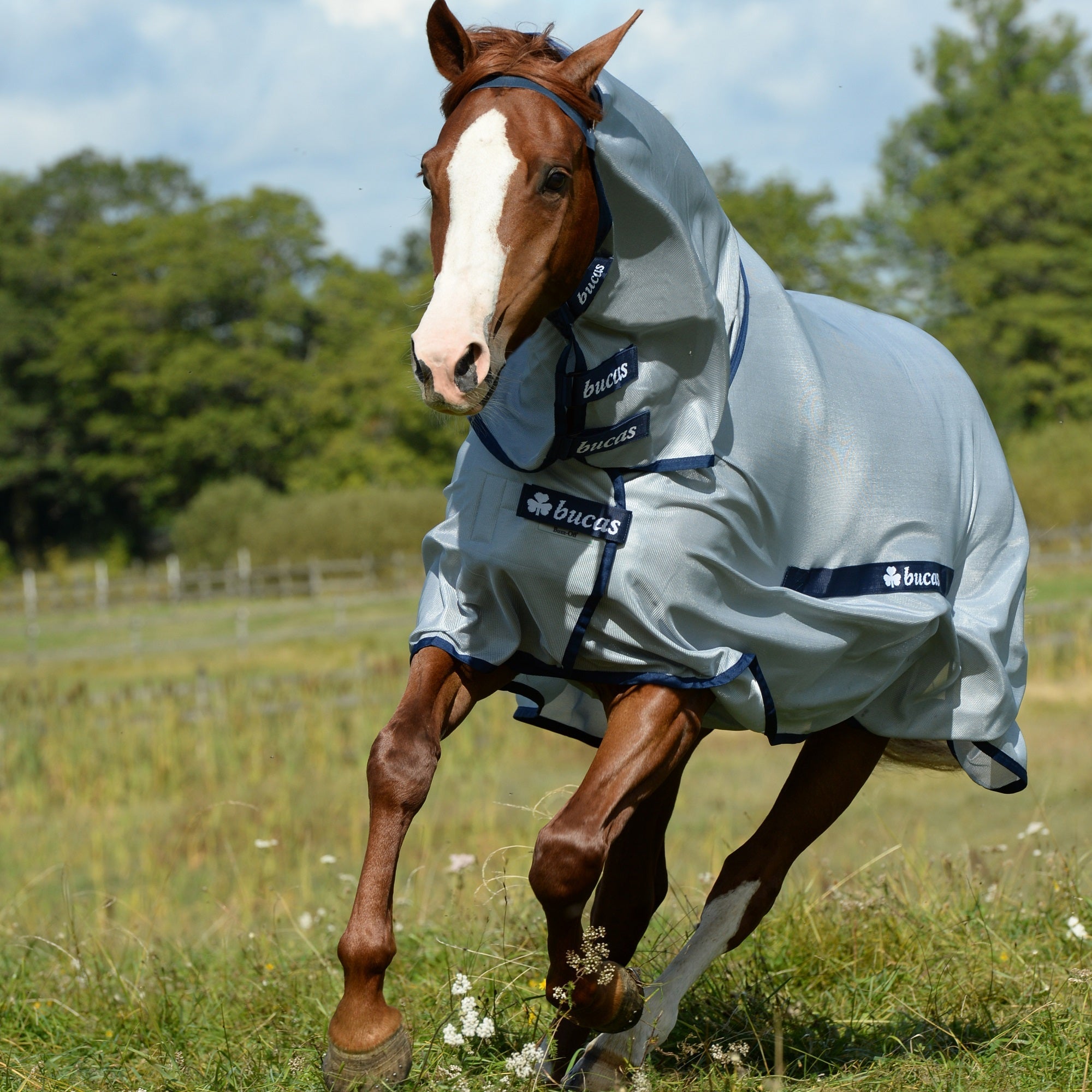 Bucas Buzz Off Fly Sheet - Full Neck - Bucas - Equiluxe Tack
