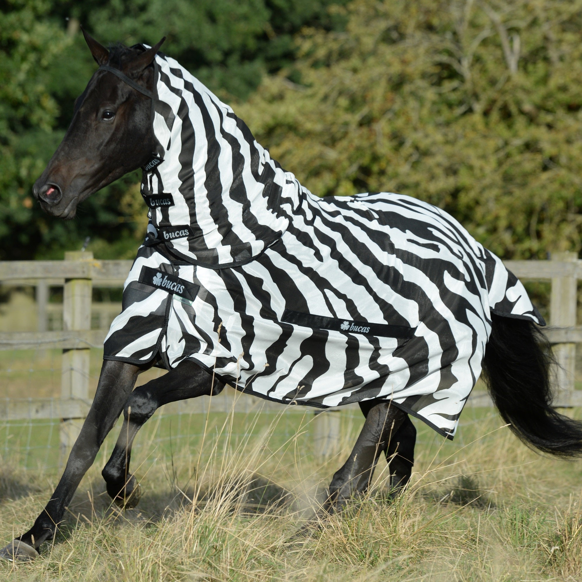 Bucas Buzz Off Fly Sheet w/Removable Neck - Bucas - Equiluxe Tack