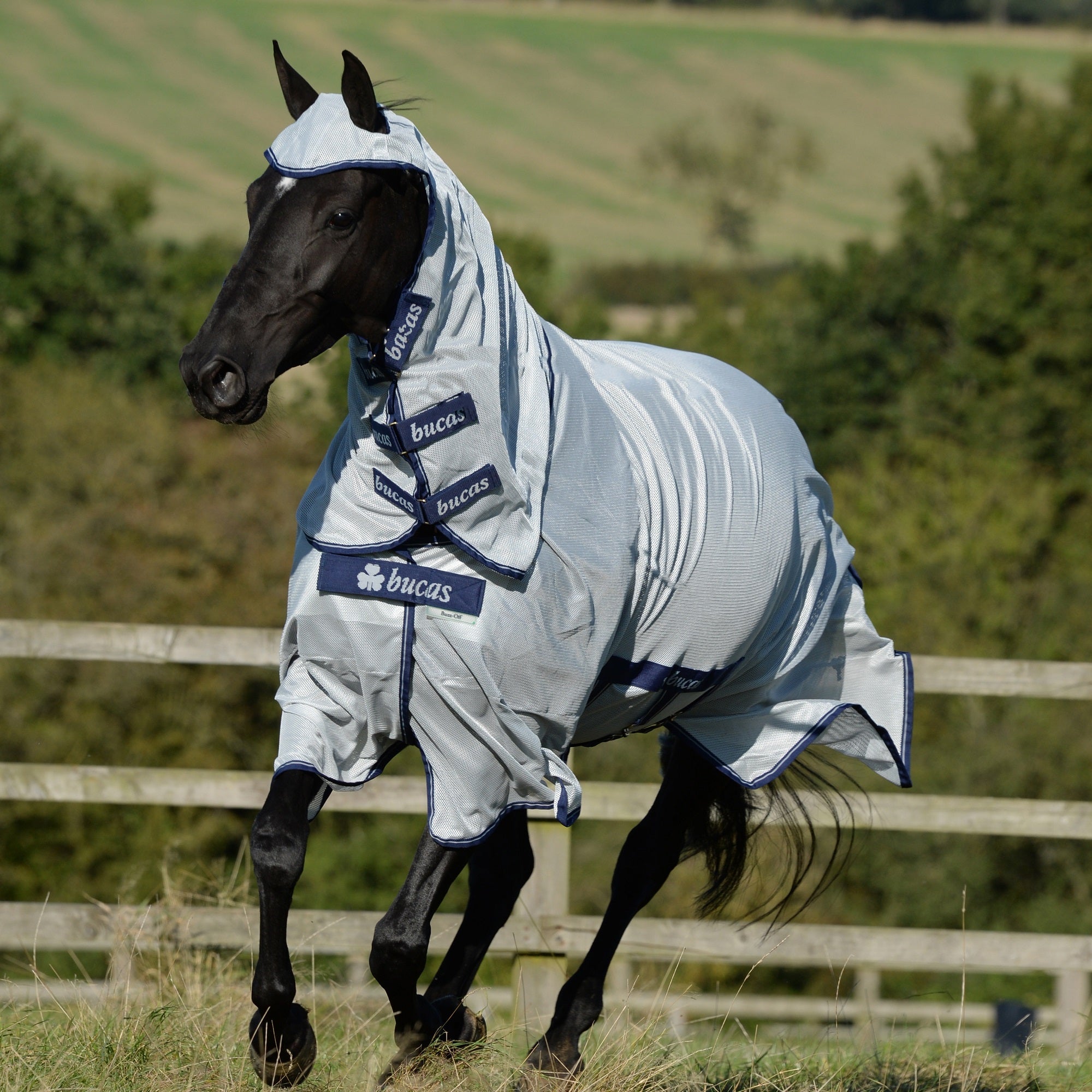 Bucas Buzz Off X Fly Sheet - Bucas - Equiluxe Tack