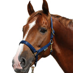 Bucas Dublin Halter - Bucas - Equiluxe Tack