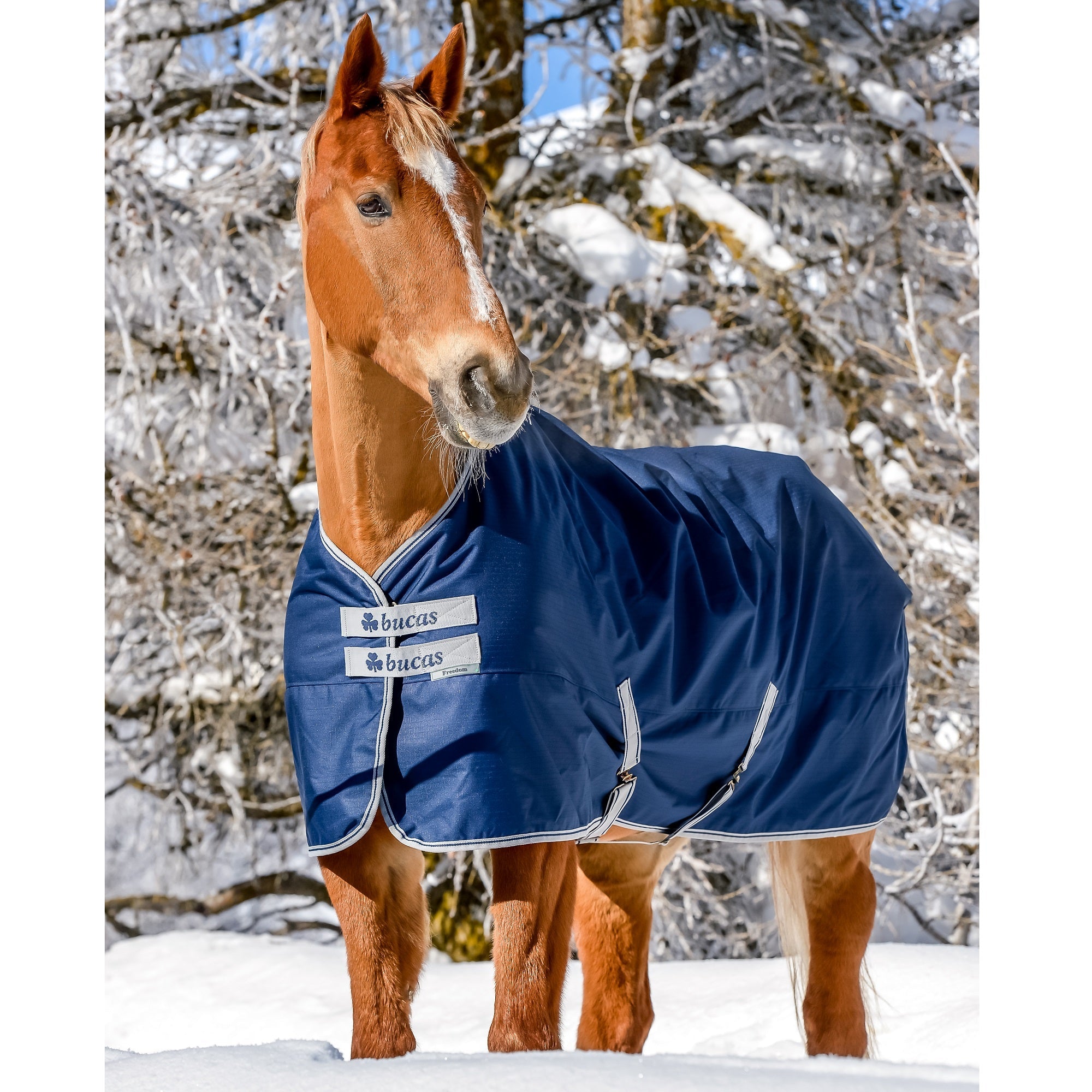 Bucas Freedom Turnout - Extra (300g) - Bucas - Equiluxe Tack