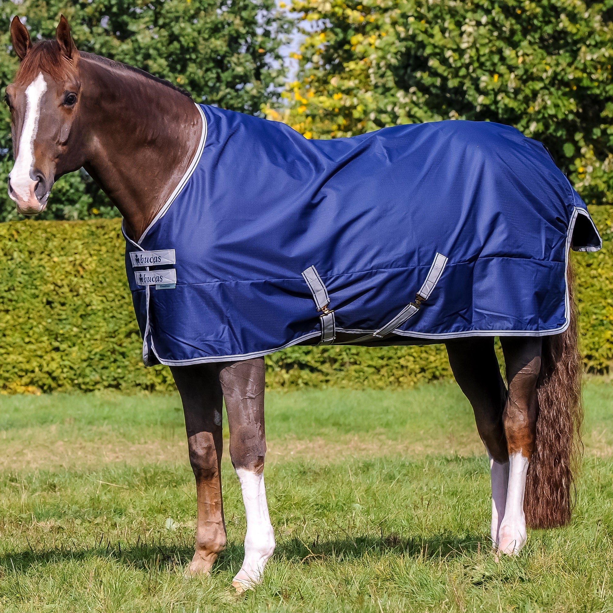 Bucas Freedom Turnout - Light - Bucas - Equiluxe Tack