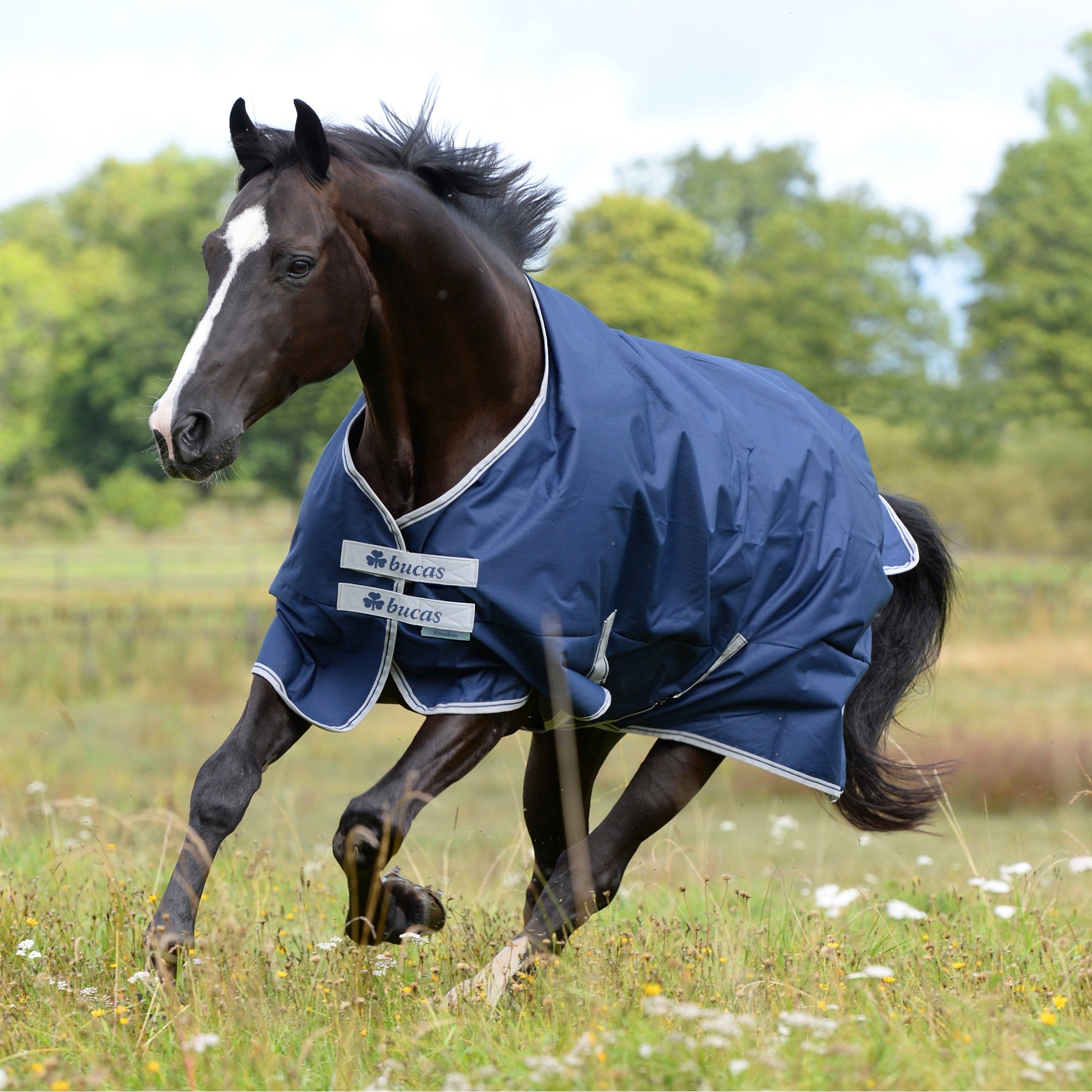Bucas Freedom Turnout - Medium (150g) - Bucas - Equiluxe Tack