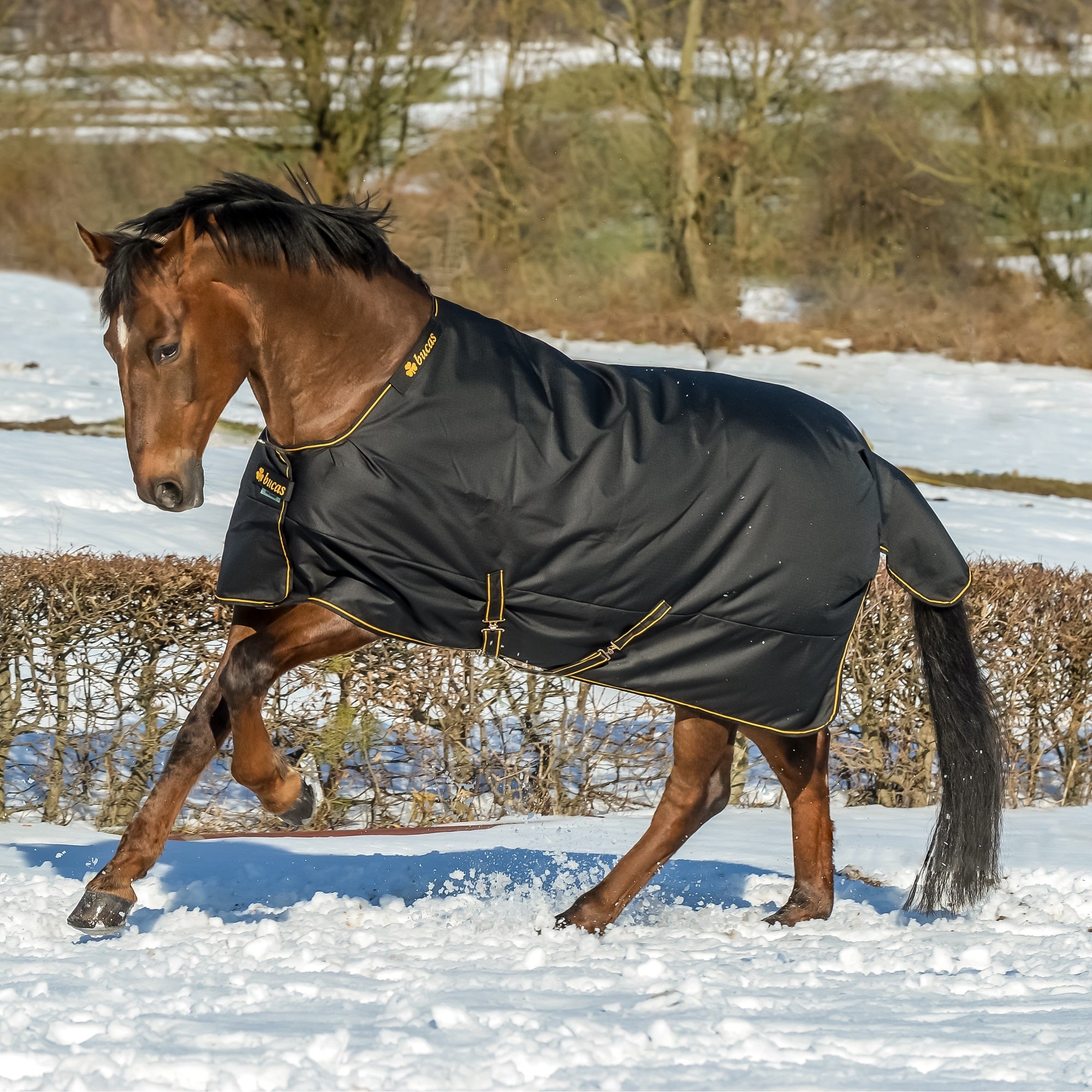 Bucas Irish Turnout - Extra (300g) - Bucas - Equiluxe Tack