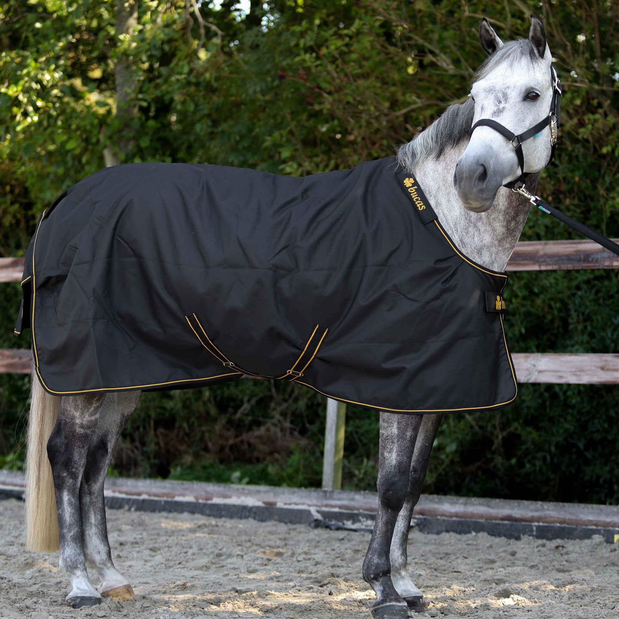 Bucas Irish Turnout - Light (50g) - Bucas - Equiluxe Tack
