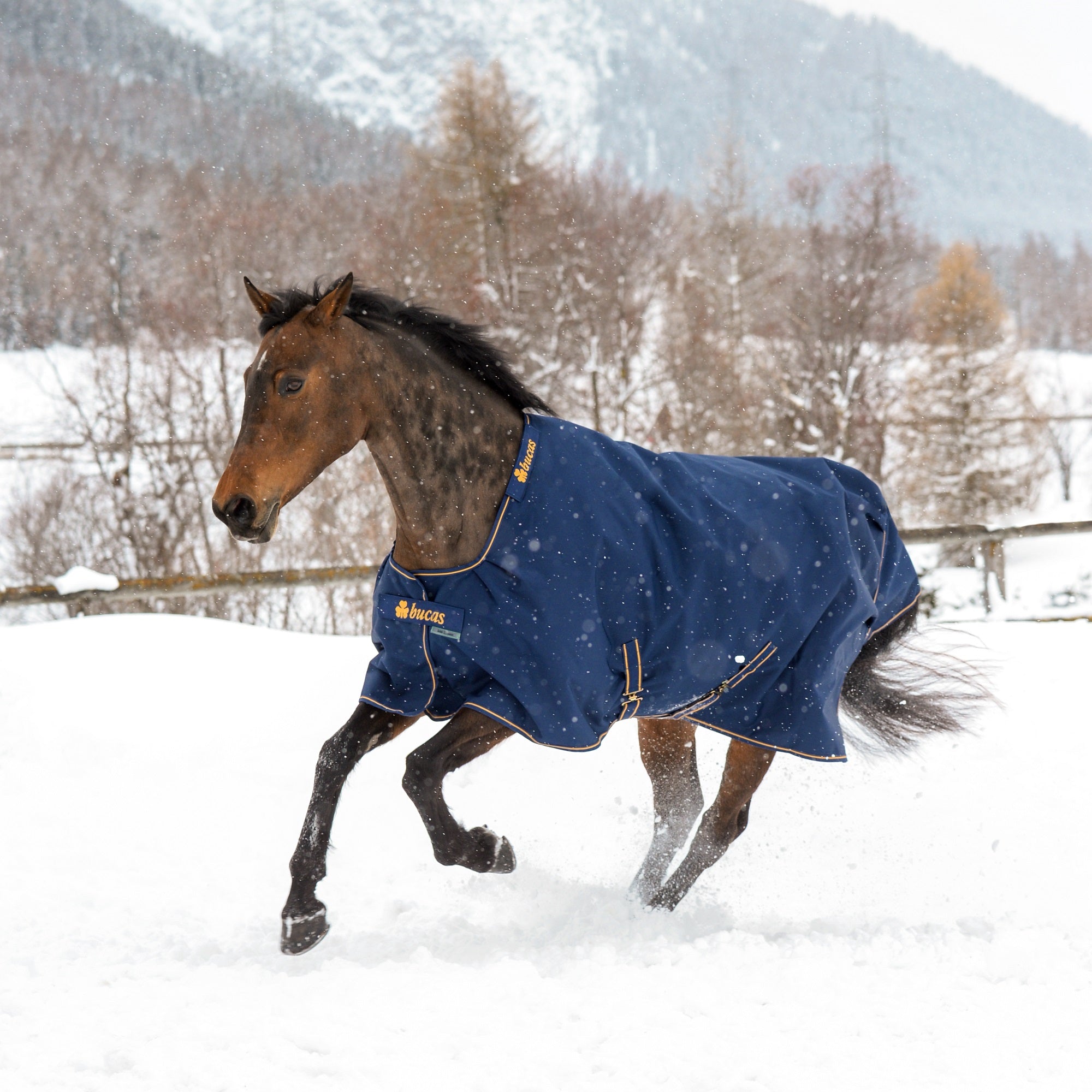 Bucas Irish Turnout - Medium (150g) - Bucas - Equiluxe Tack