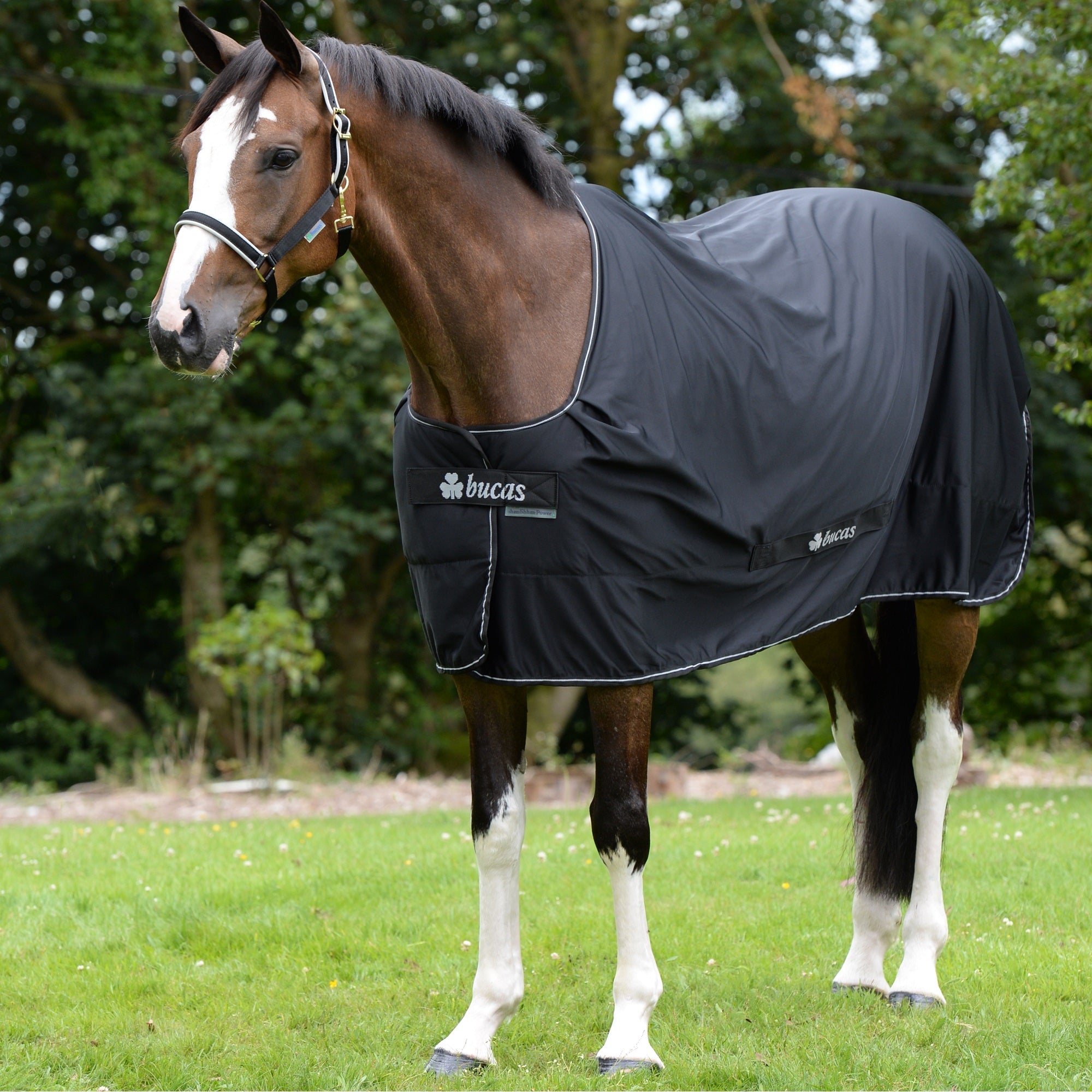 Bucas Power Cooler - Bucas - Equiluxe Tack