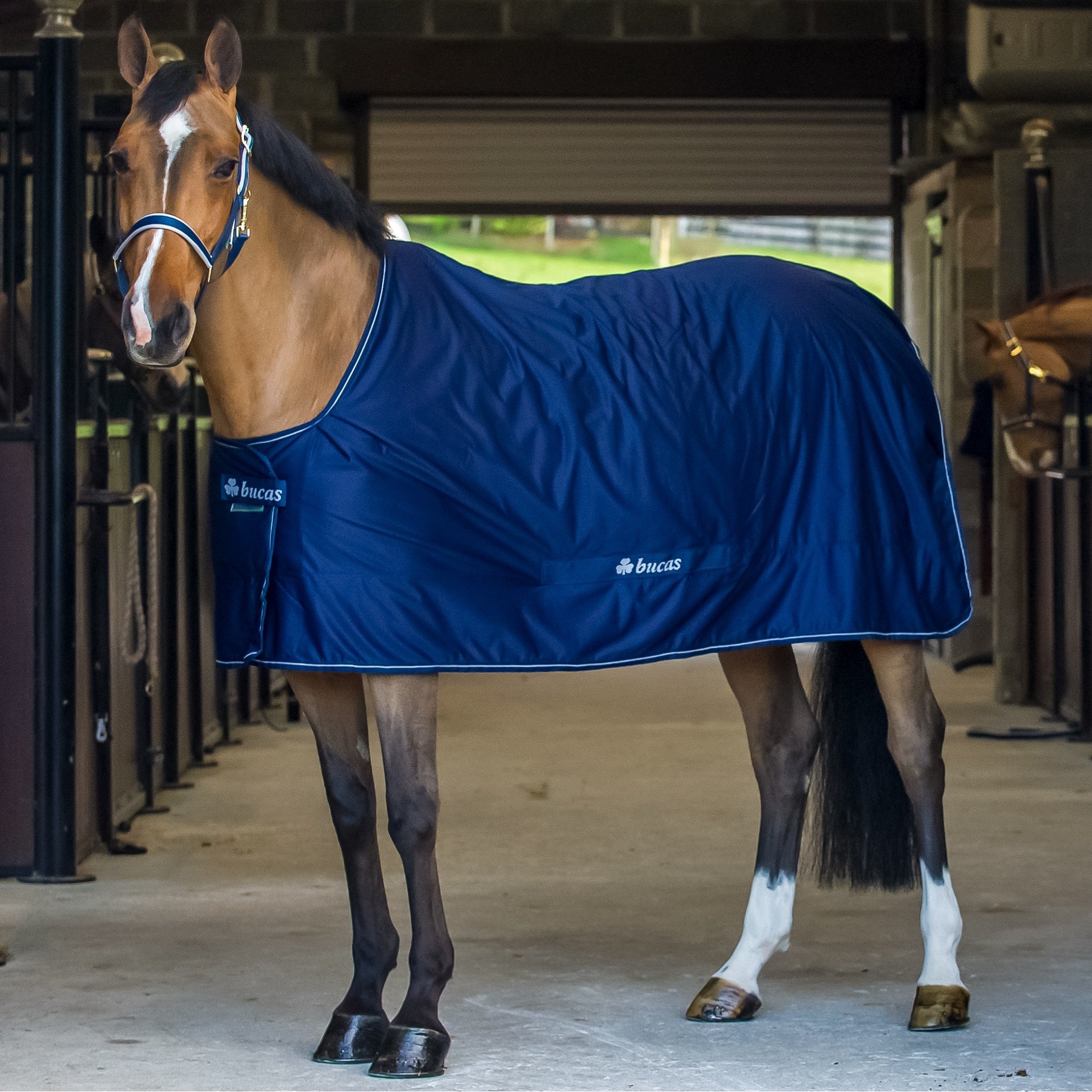 Bucas Power Cooler - Bucas - Equiluxe Tack