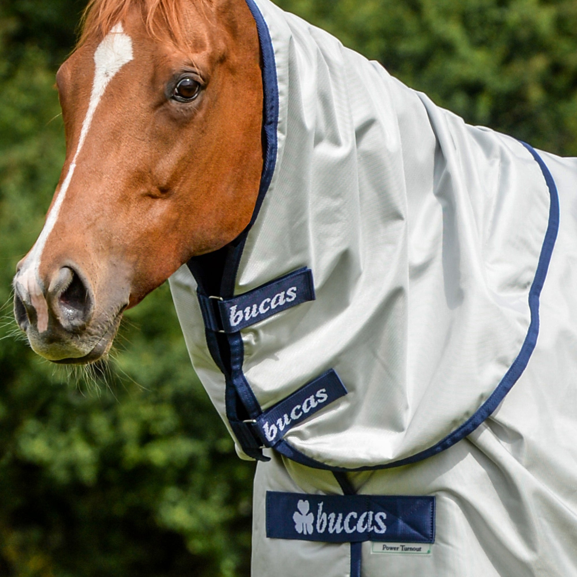 Bucas Power Turnout Combi - Neck - Bucas - Equiluxe Tack