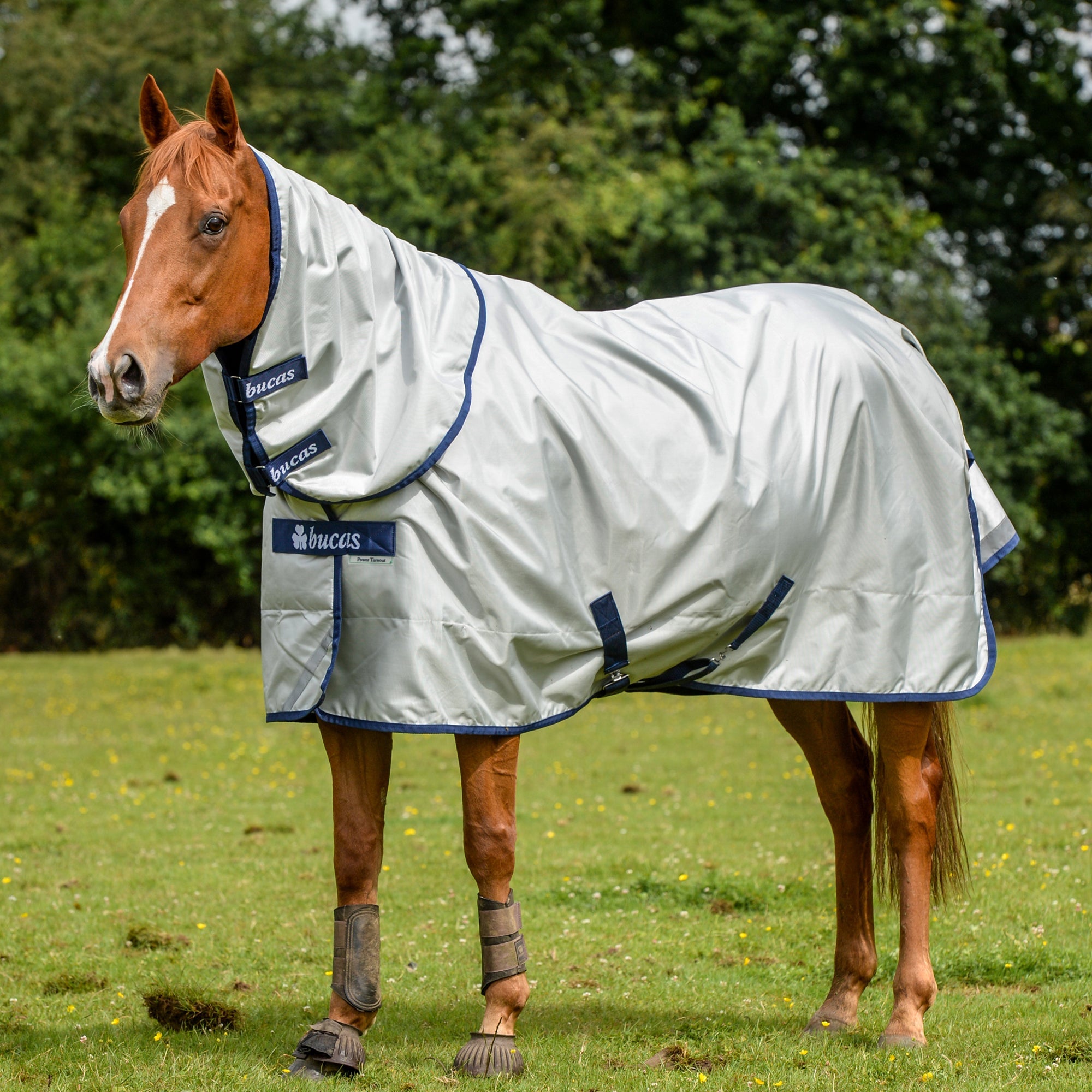 Bucas Power Turnout - Light - Bucas - Equiluxe Tack