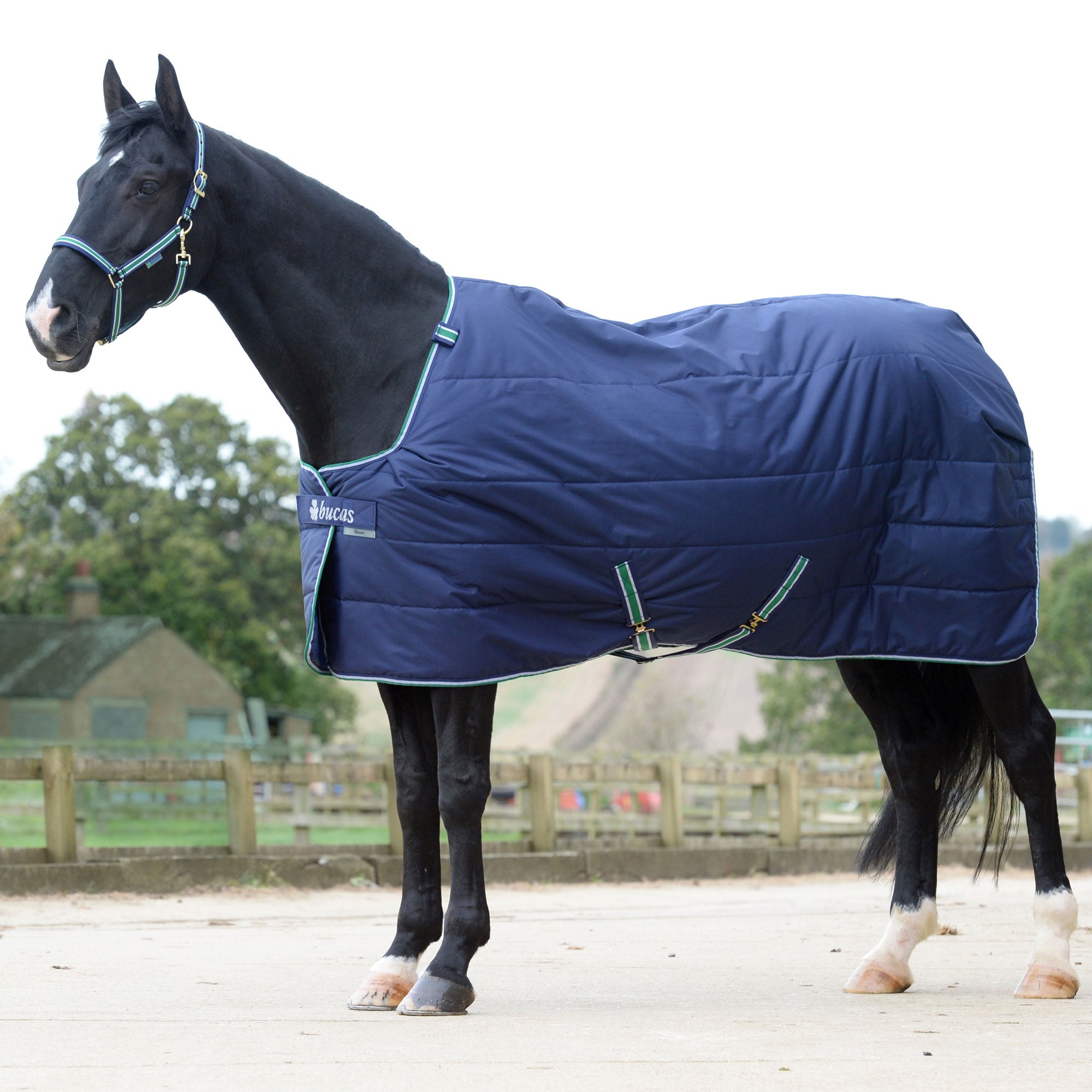 Bucas Quilt Stable Blanket - Bucas - Equiluxe Tack