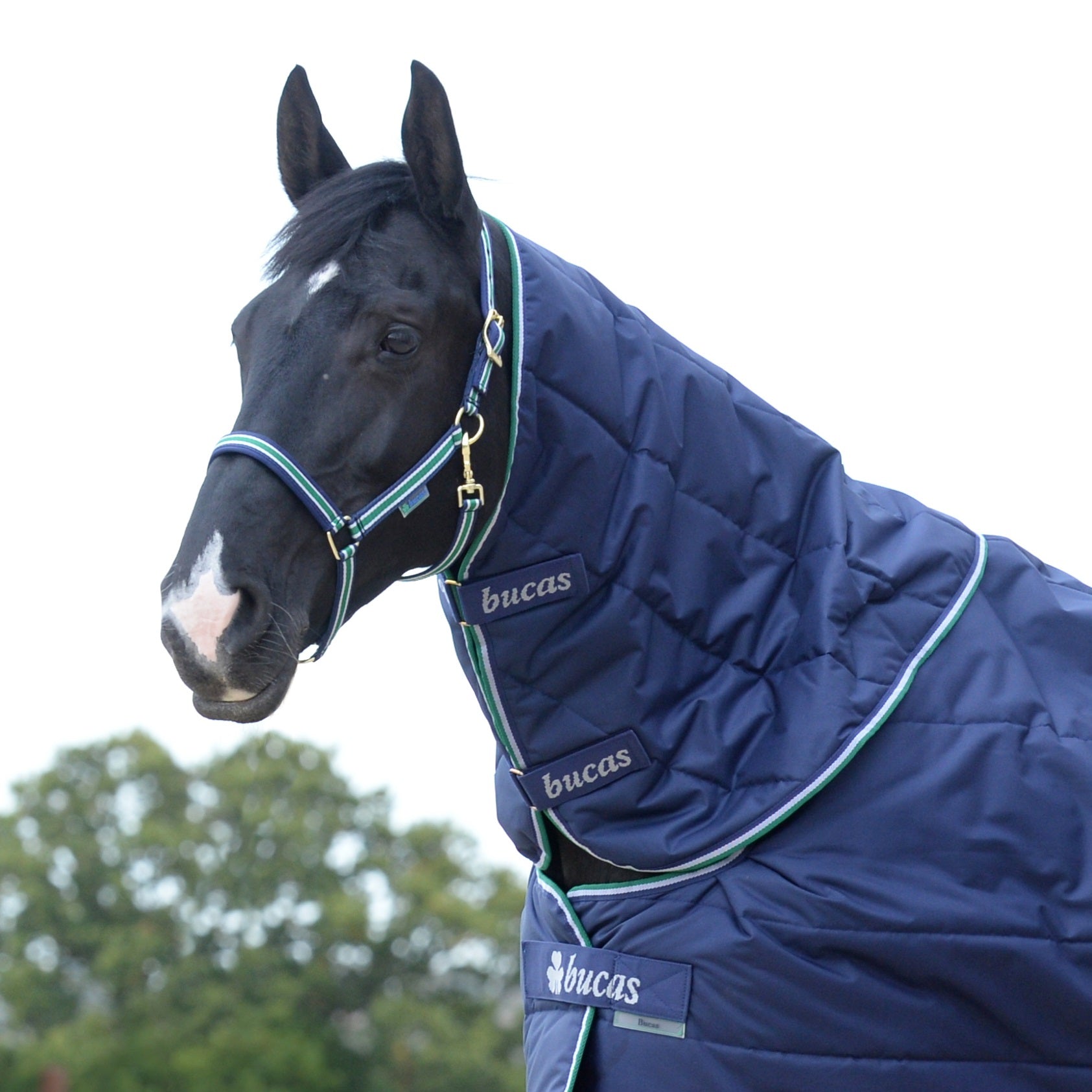 Bucas Quilt Stable Combi - Neck - Bucas - Equiluxe Tack