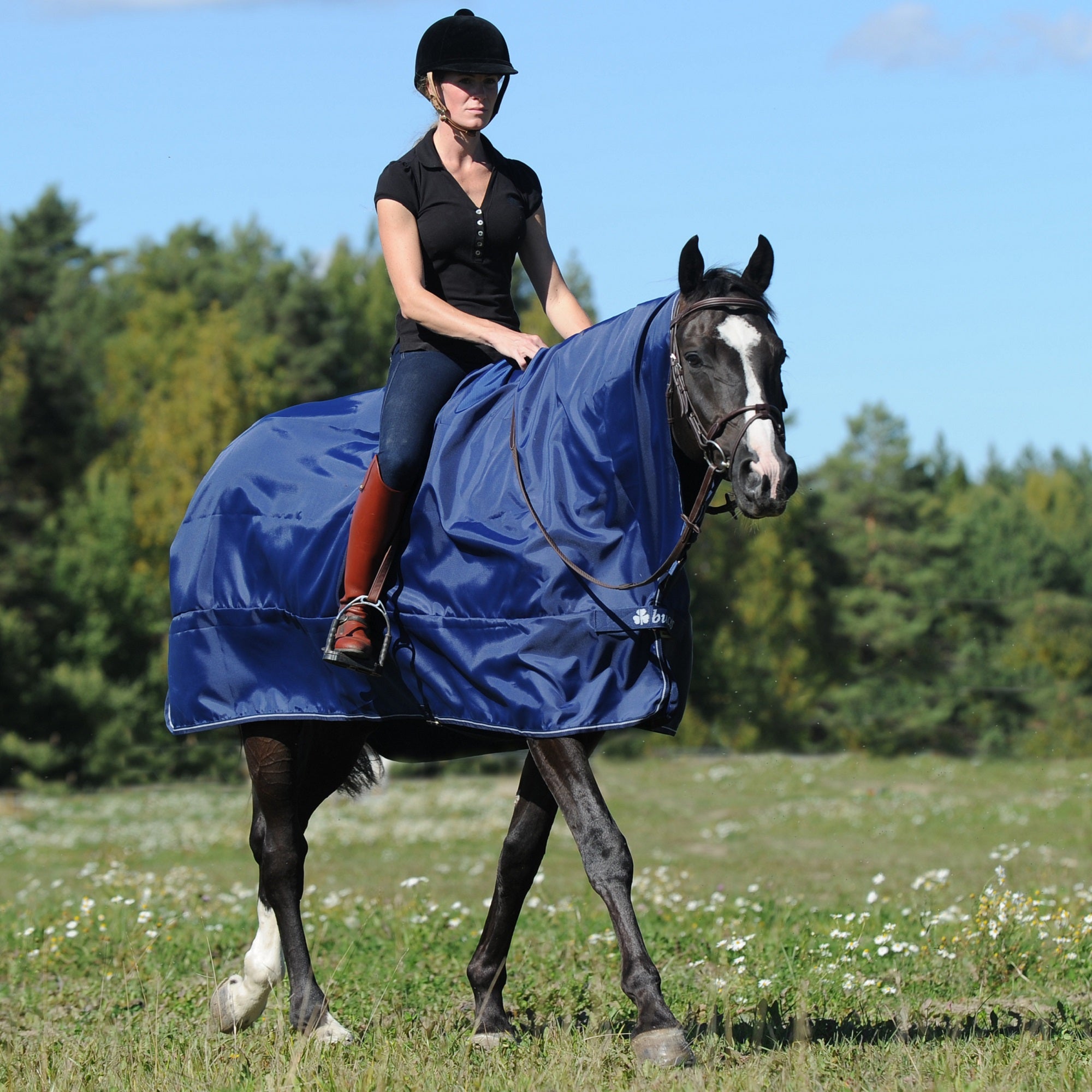 Bucas Rain Protector Sheet - Bucas - Equiluxe Tack