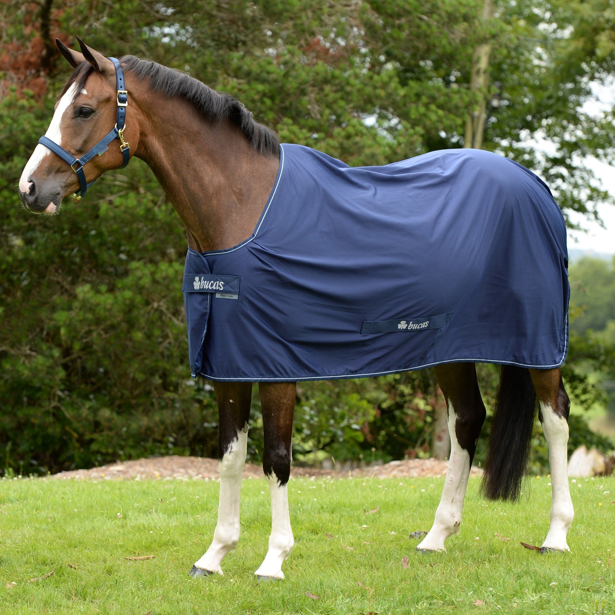 Bucas Shamrock Power Cooler - Bucas - Equiluxe Tack