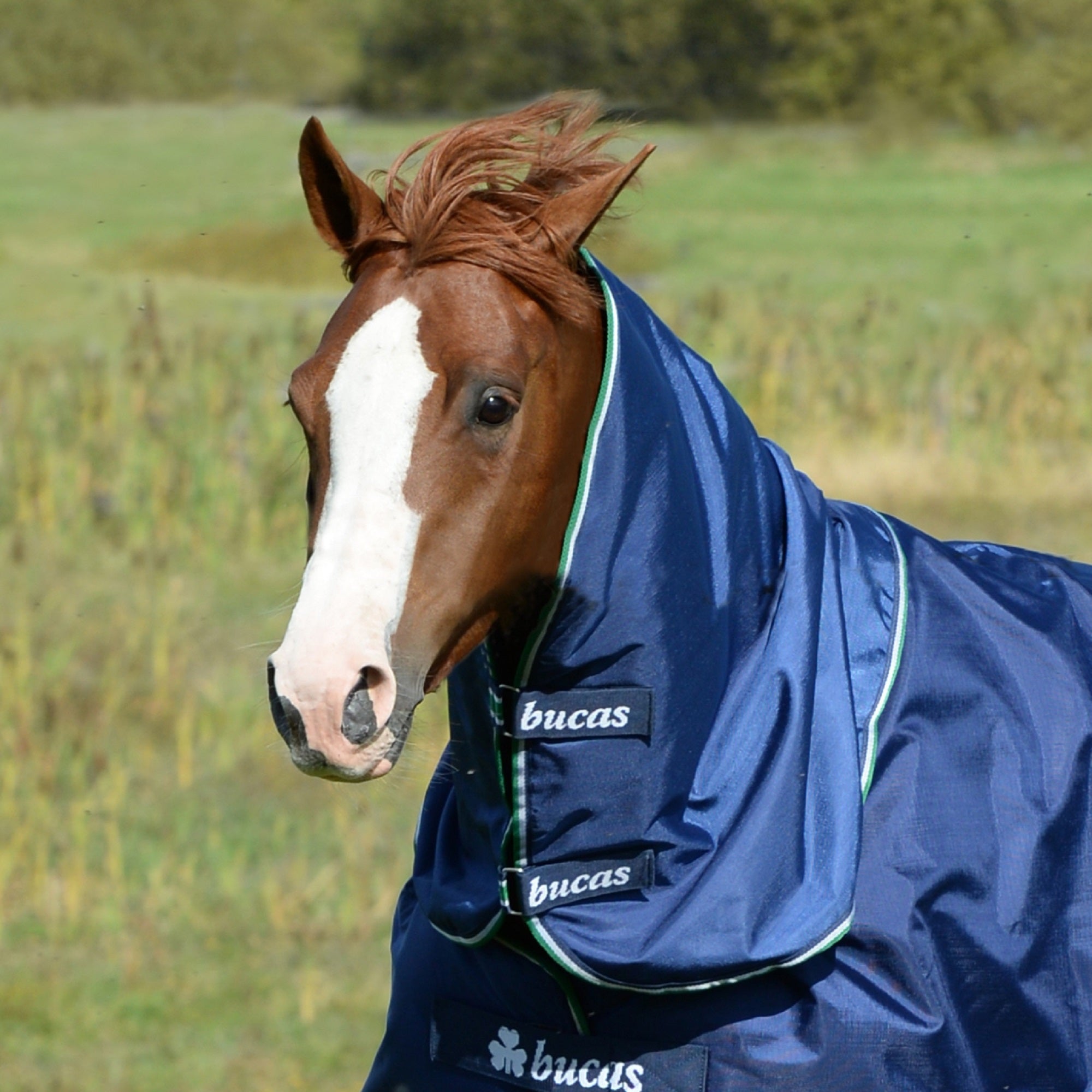 Bucas Smartex Turnout Combi - Neck - Bucas - Equiluxe Tack