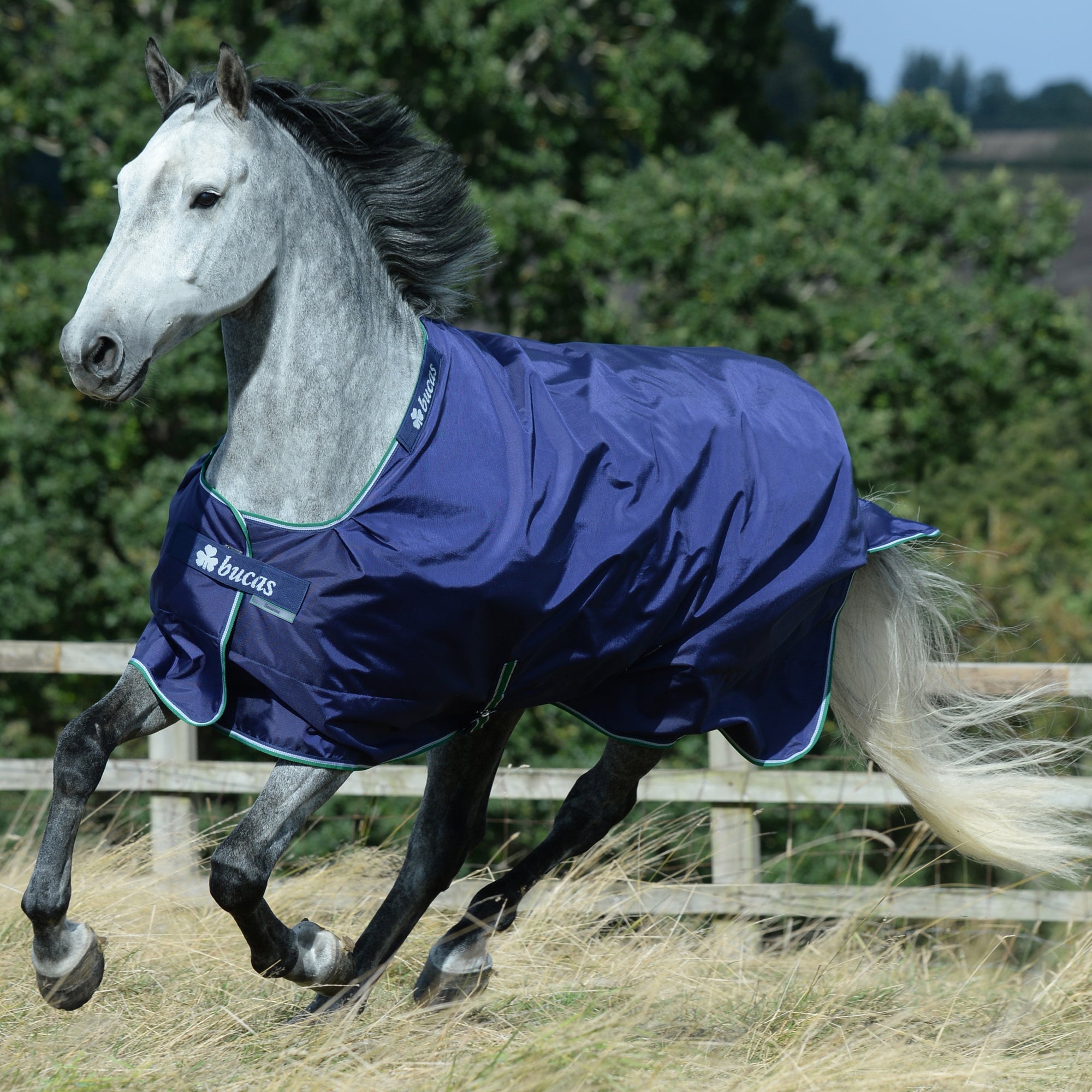 Bucas Smartex Turnout - Rain - Bucas - Equiluxe Tack