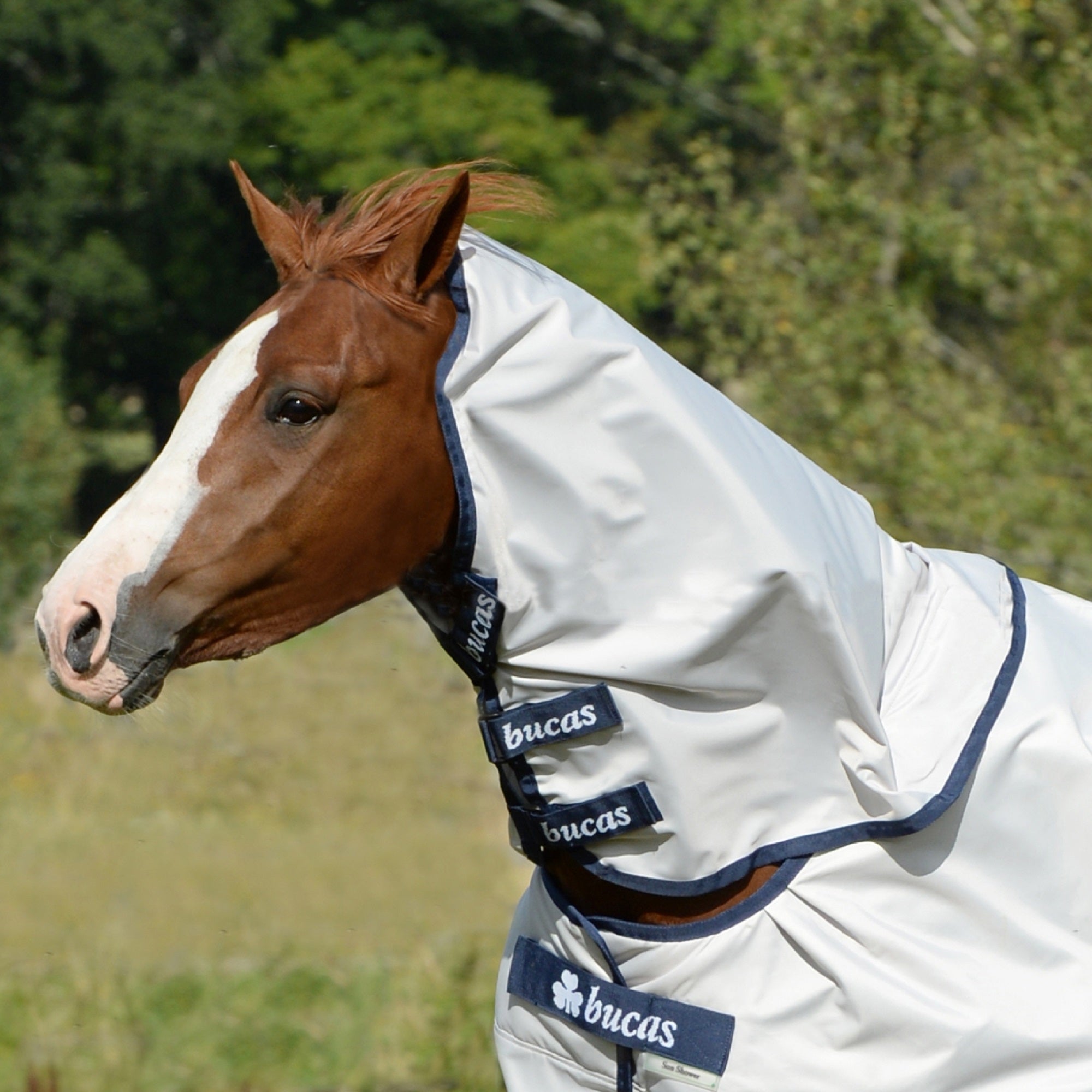 Bucas Sun Shower Turnout Combi - Neck - Bucas - Equiluxe Tack