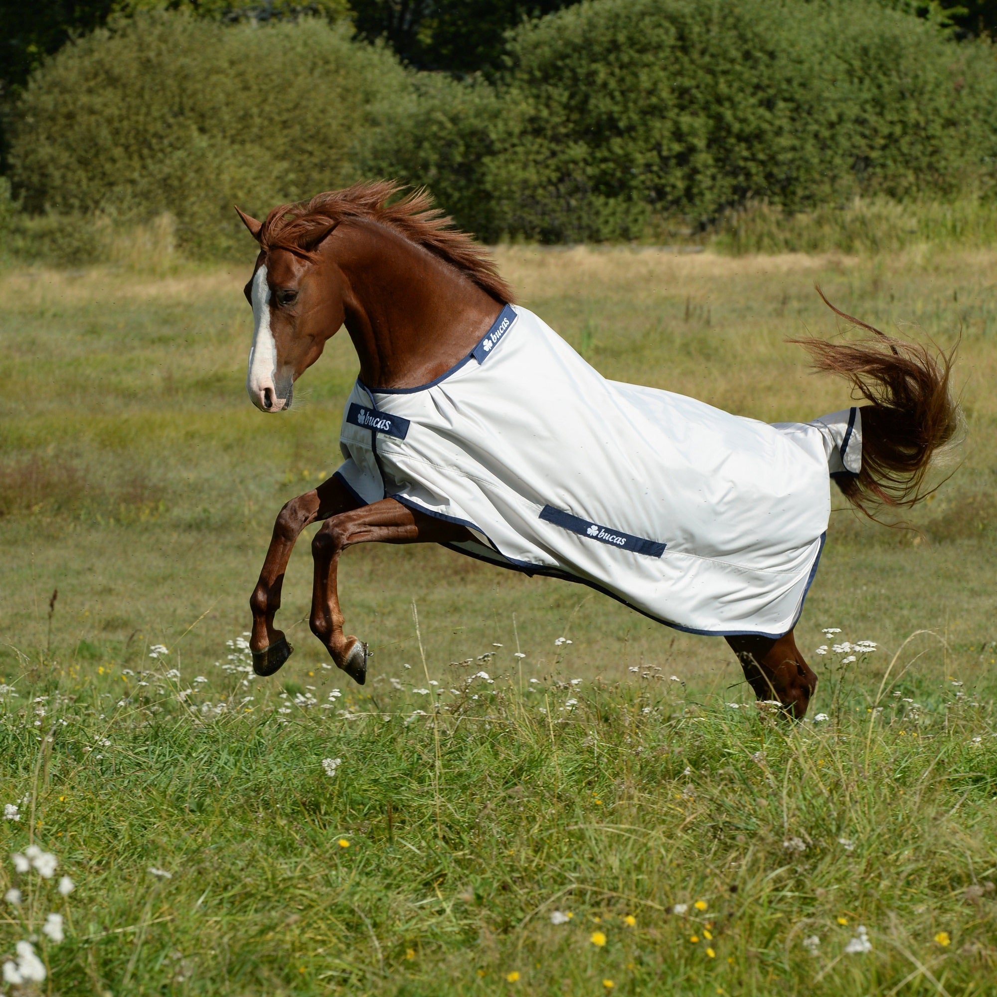 Bucas Sun Shower Turnout - Bucas - Equiluxe Tack