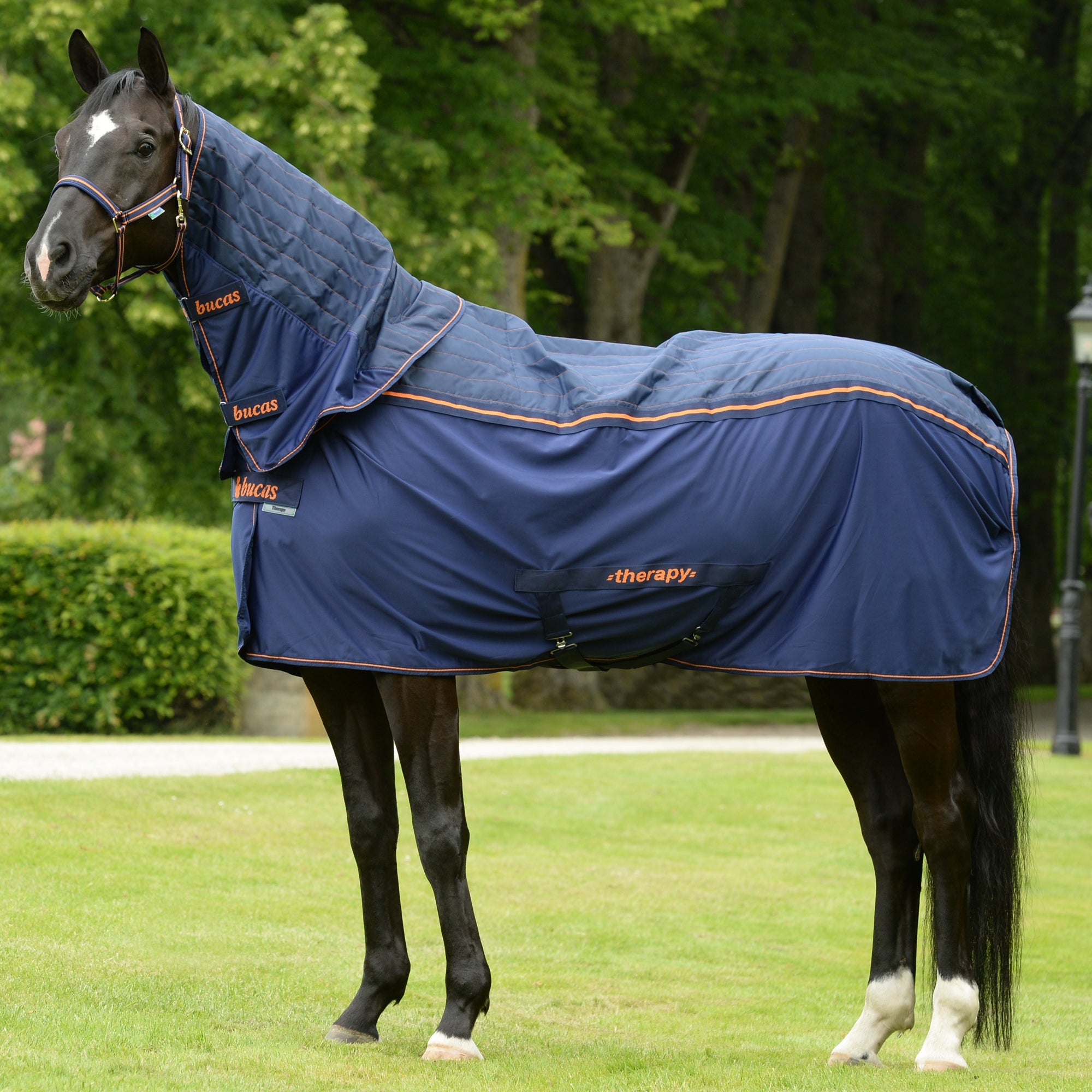 Bucas Therapy Cooler Combi - Neck - Bucas - Equiluxe Tack