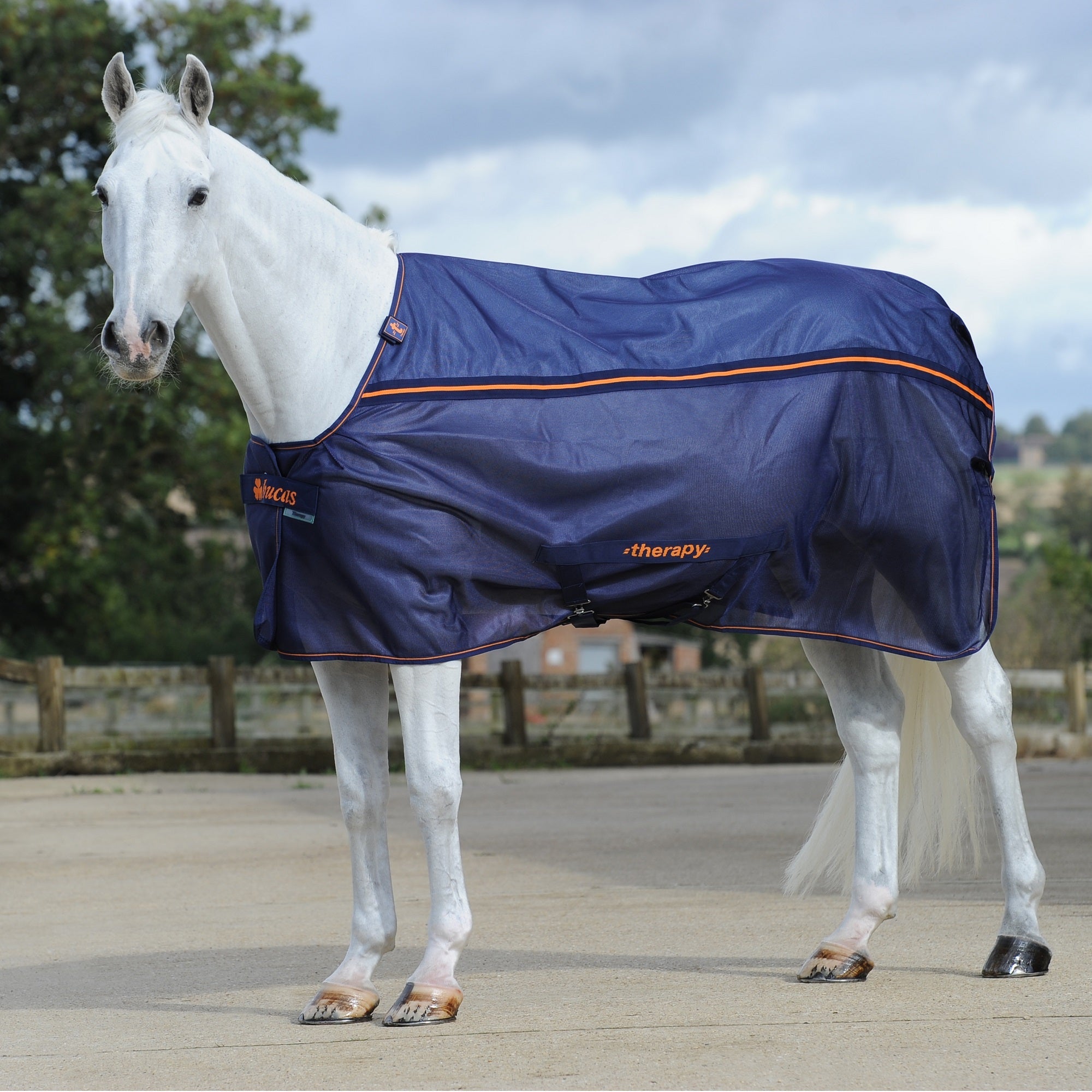 Bucas Therapy Mesh Cooler - Bucas - Equiluxe Tack