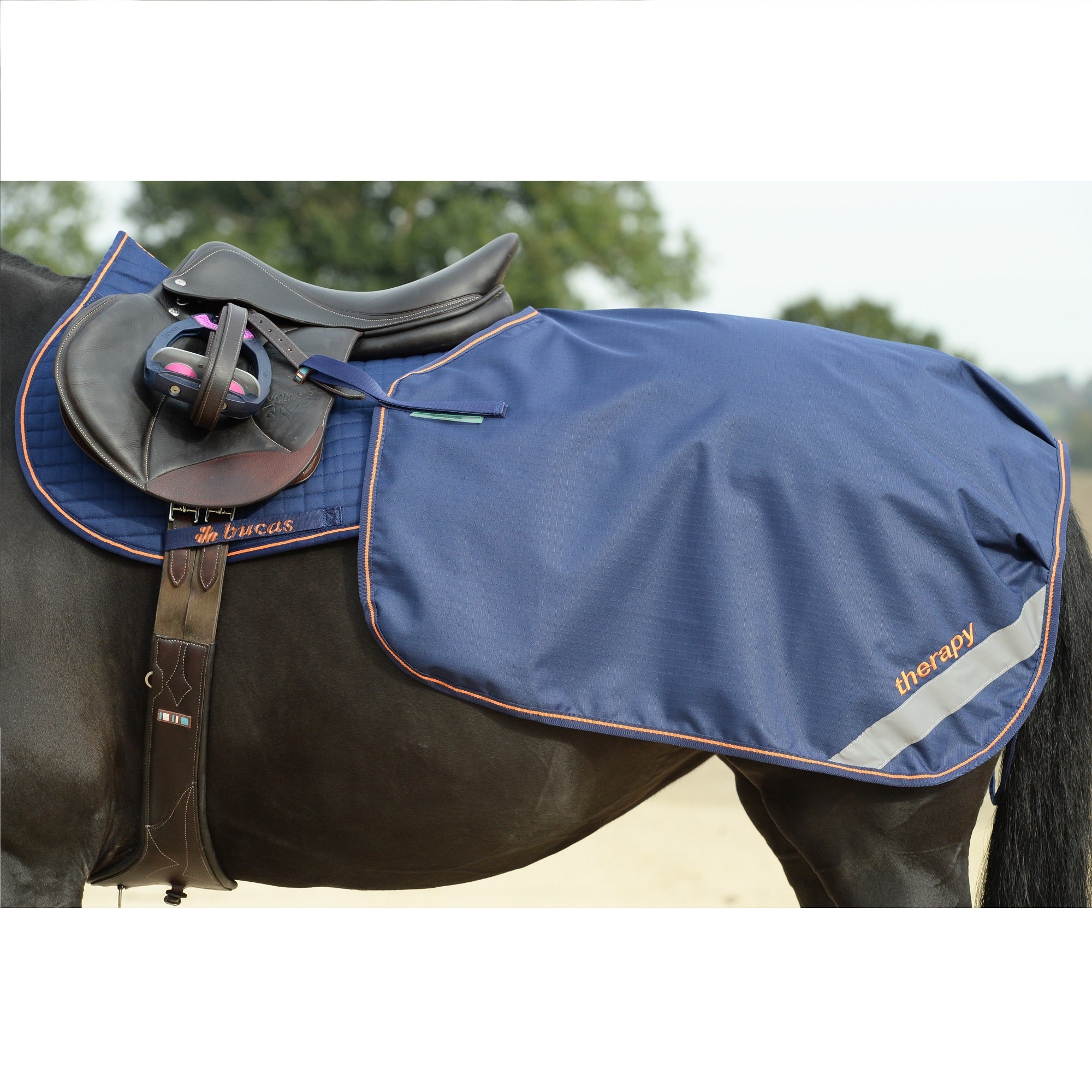 Bucas Therapy Quarter Sheet - Bucas - Equiluxe Tack