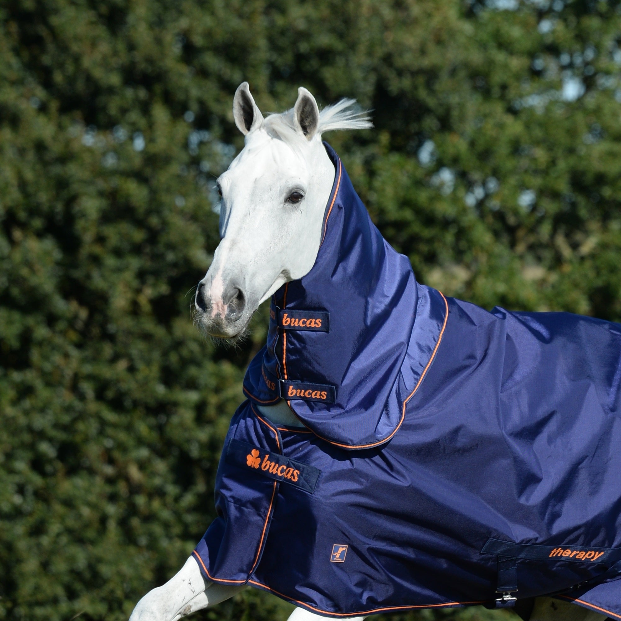 Bucas Therapy Turnout Combi - Neck - Bucas - Equiluxe Tack