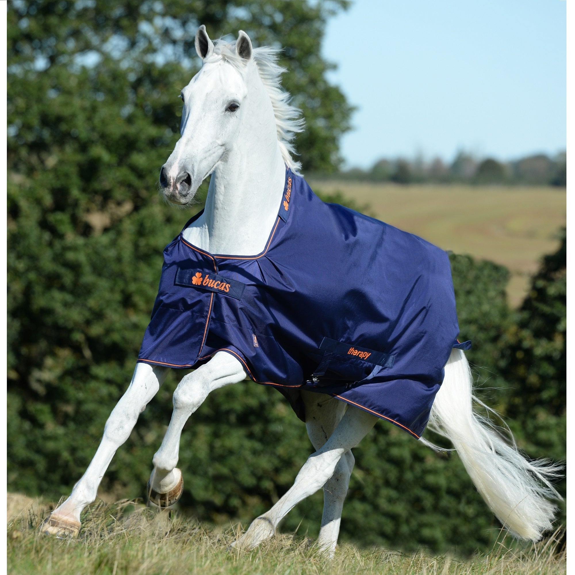 Bucas Therapy Turnout - Light - Bucas - Equiluxe Tack