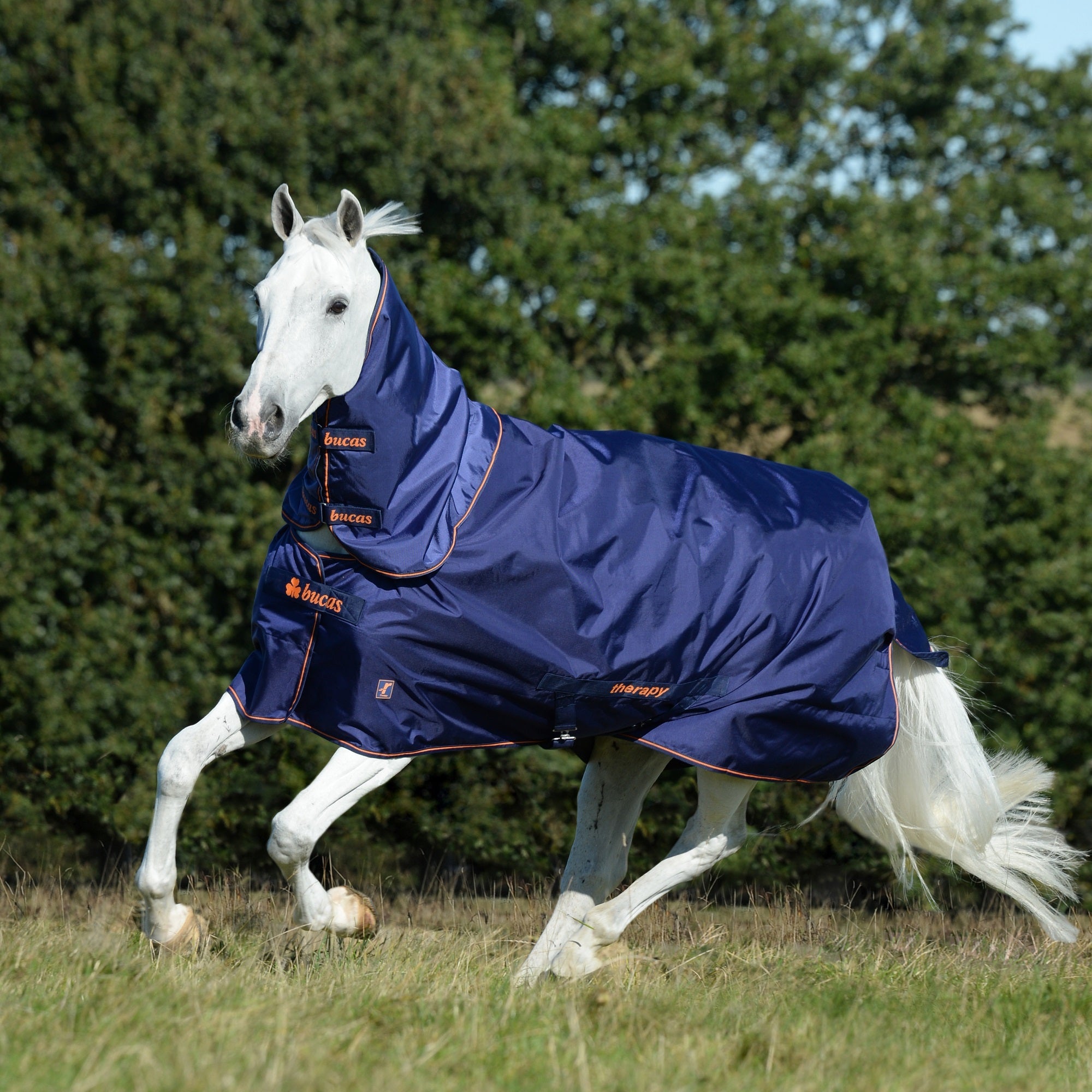 Bucas Therapy Turnout - Medium (150g) - Bucas - Equiluxe Tack